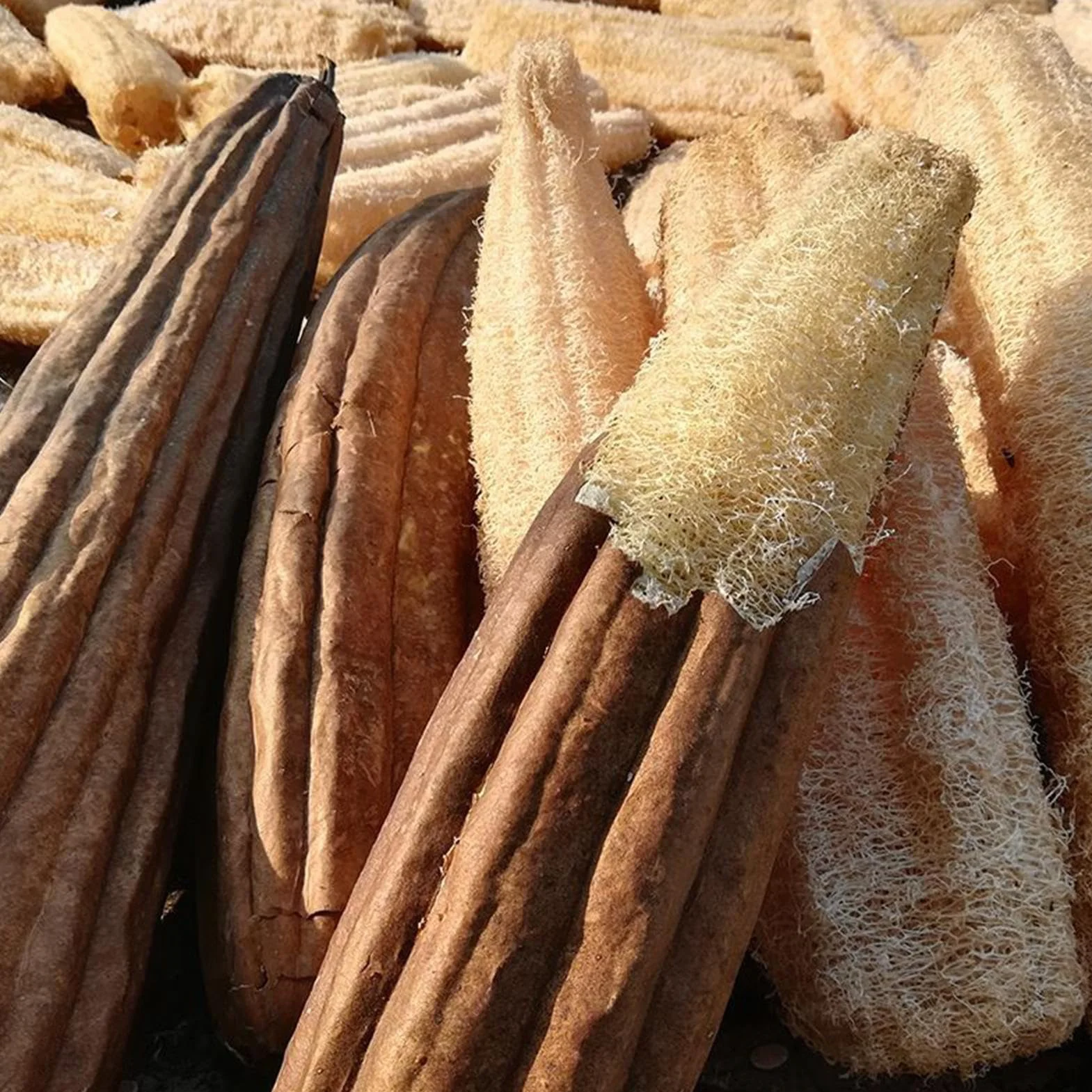Naturalna gąbka Loofah do kąpieli, szczotka do czyszczenia ciała, akcesoria łazienkowe
