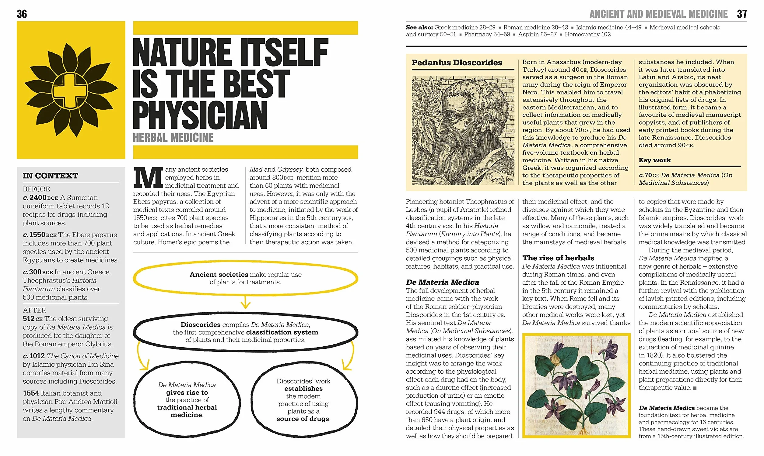 The Medicine Book: Big Ideas Simply Explained