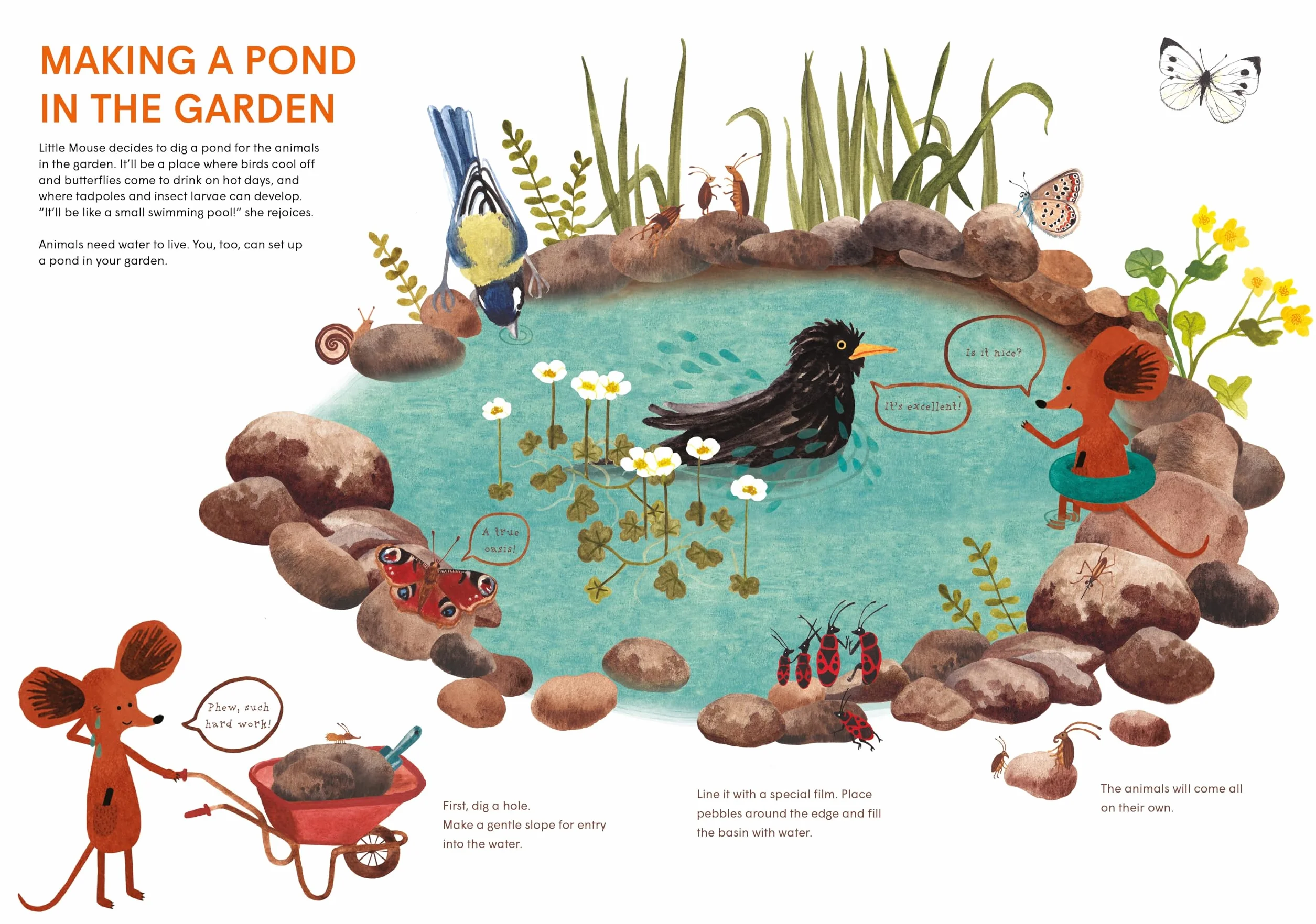 Little Mouse's Encyclopedia: A Picture Book about the Wonders of Nature