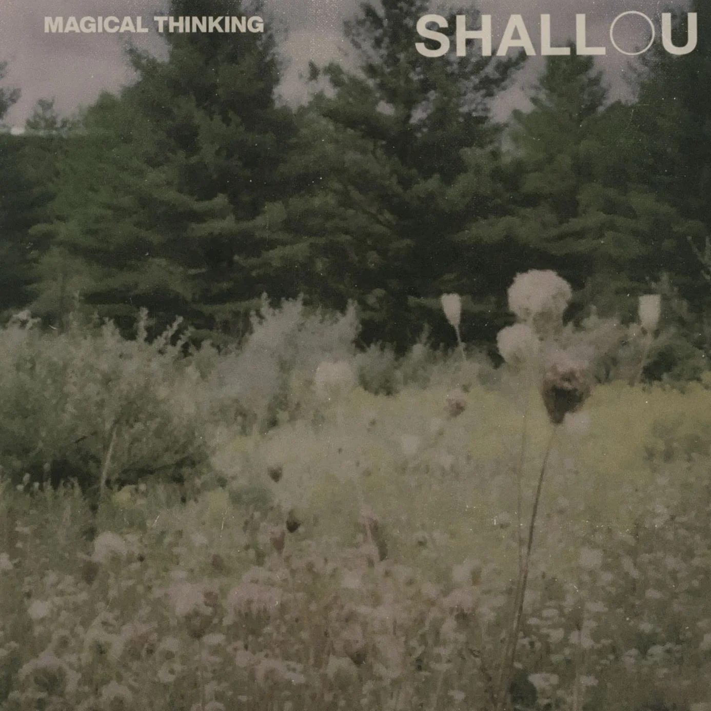 Magical Thinking