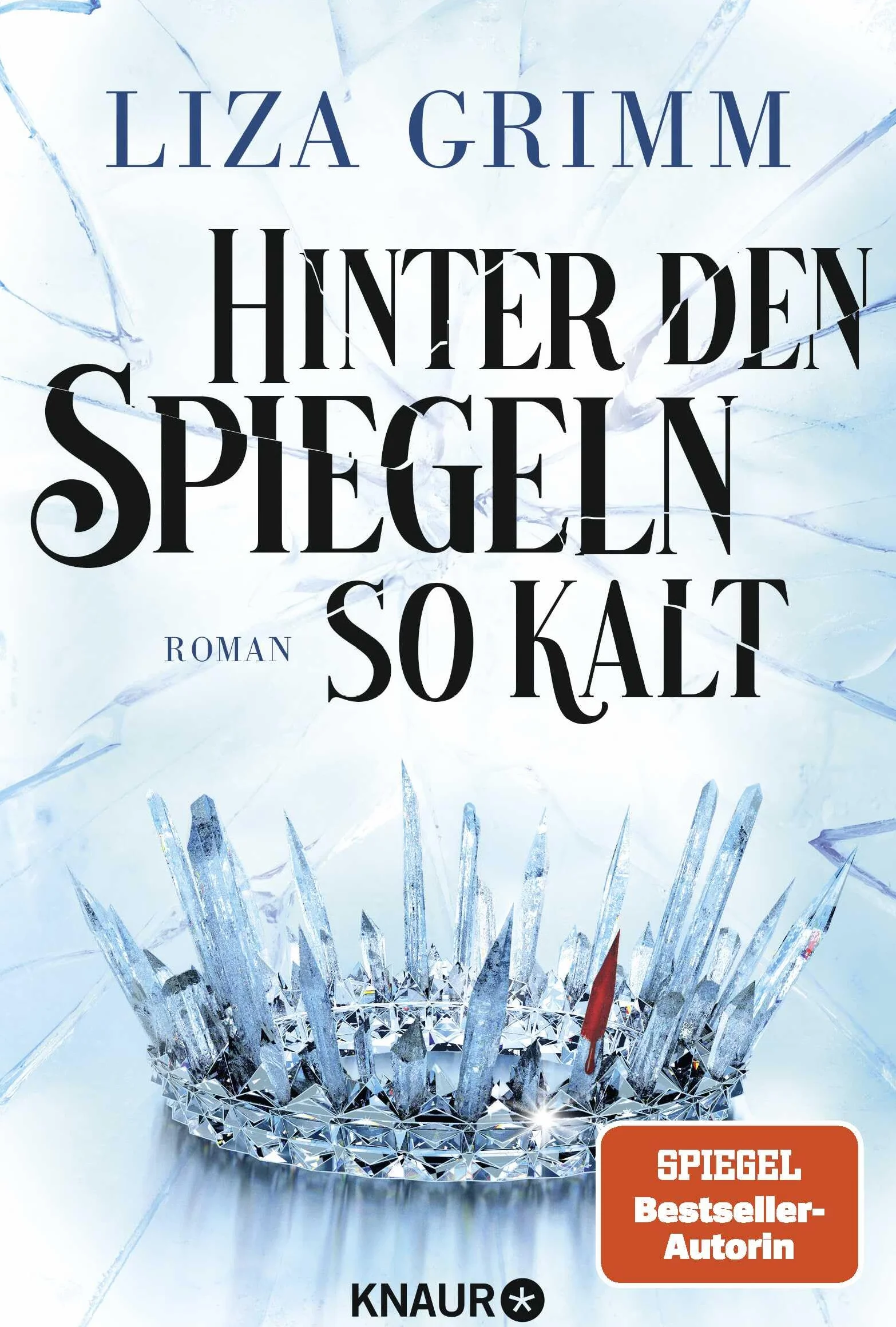 Hinter den Spiegeln so kalt: Roman