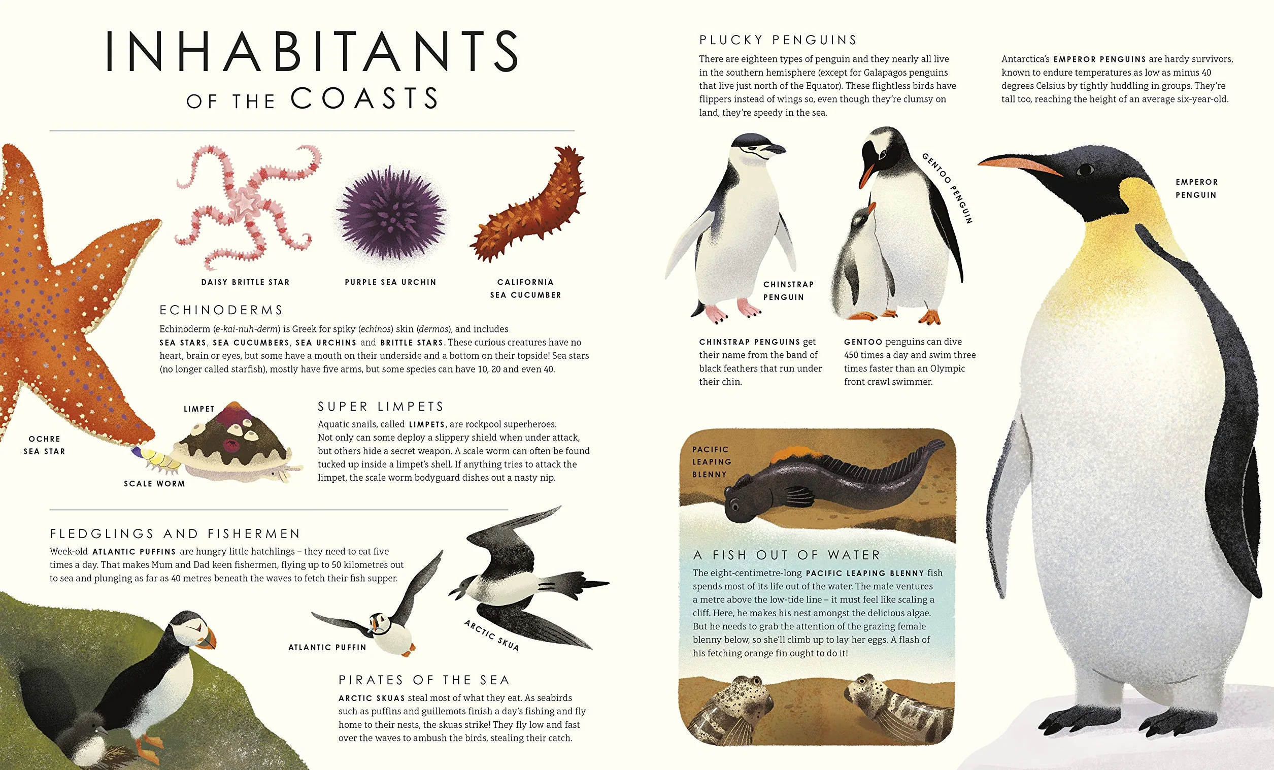 Blue Planet II: For young wildlife-lovers inspired by David Attenborough's series