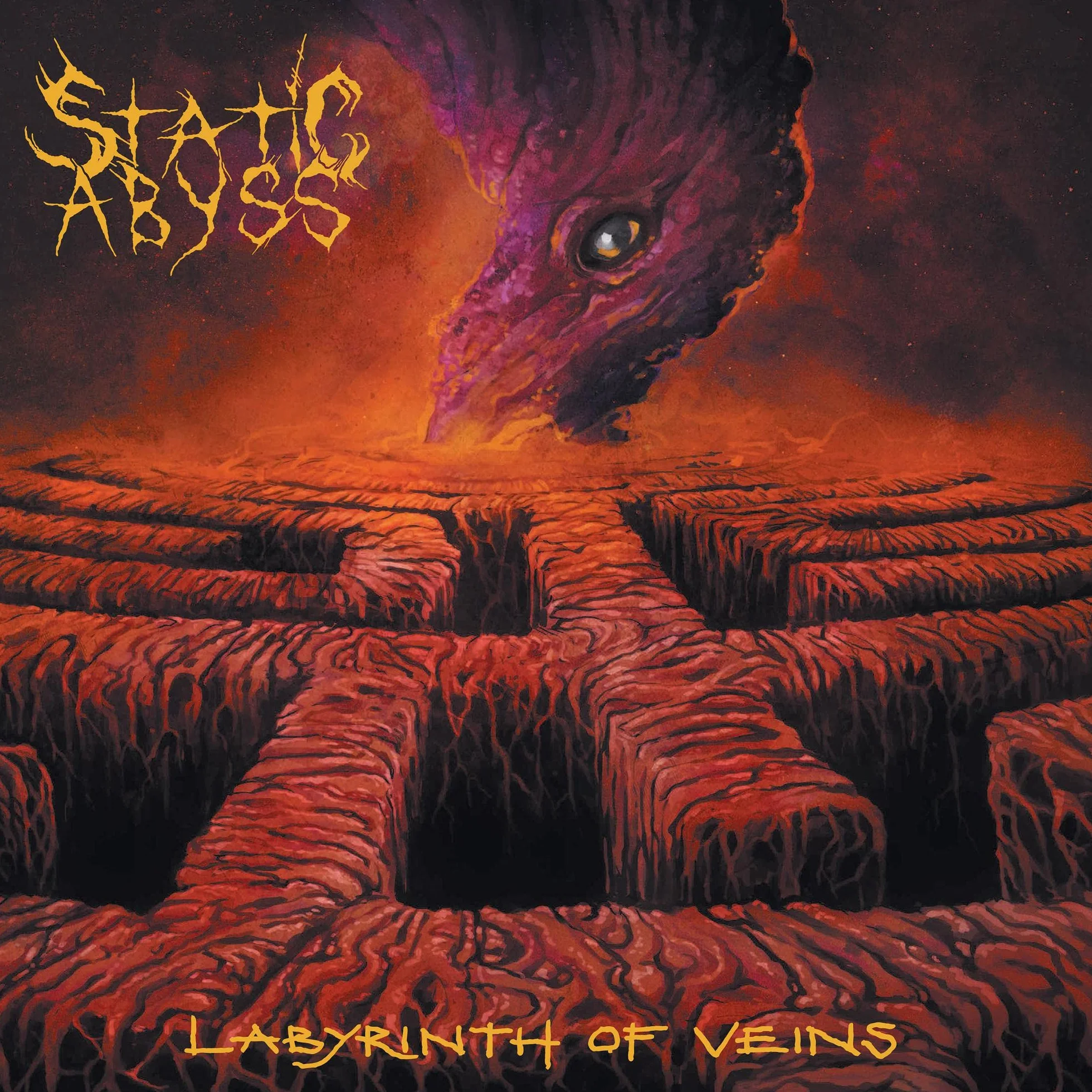Labyrinth Of Veins
