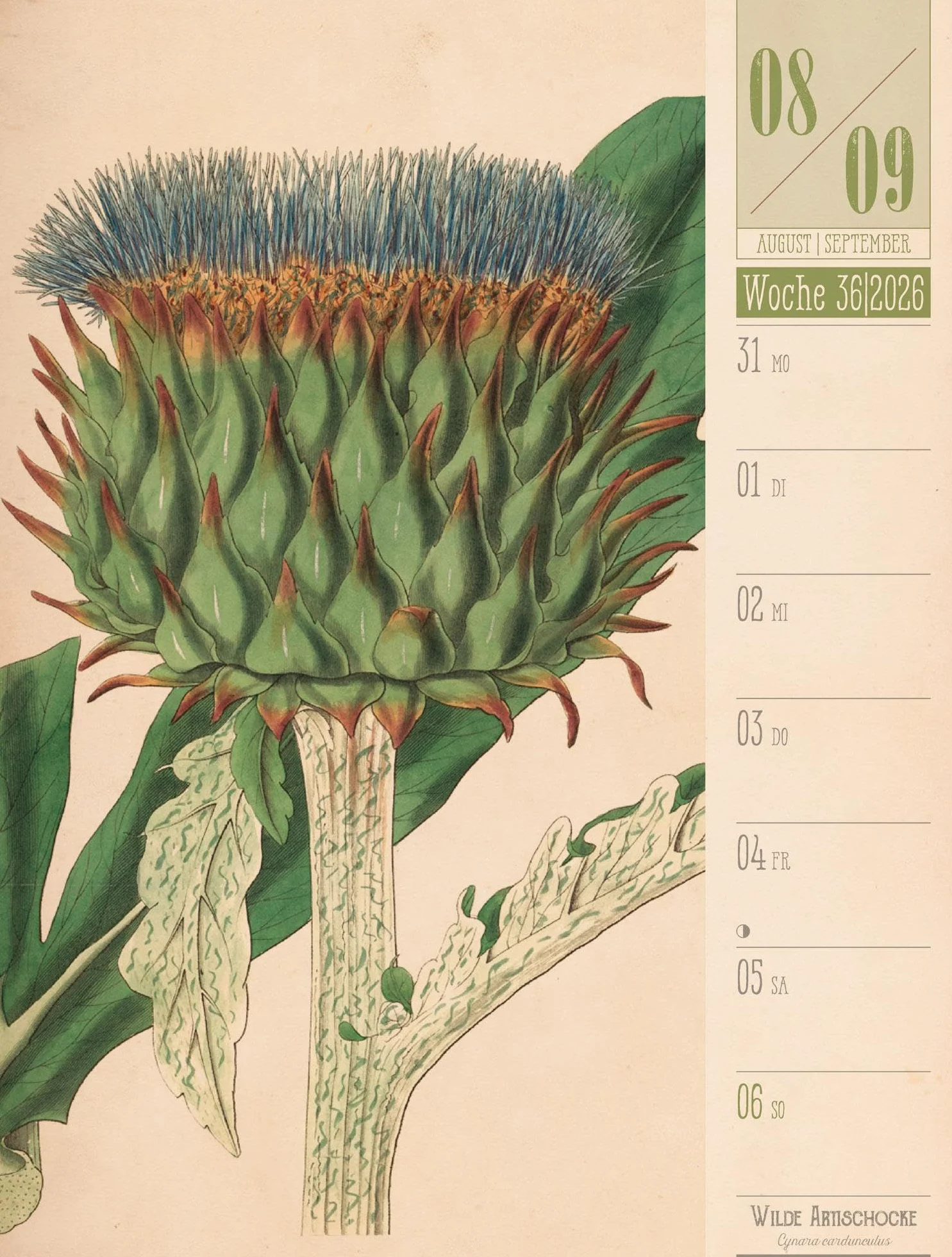 Culinarium Wochenplaner Kalender 2026 | Küche, Kräuter, Kurioses: Informativer Küchen-Wochenkalender im Hochformat (25x33 cm) | Vintage & Retro