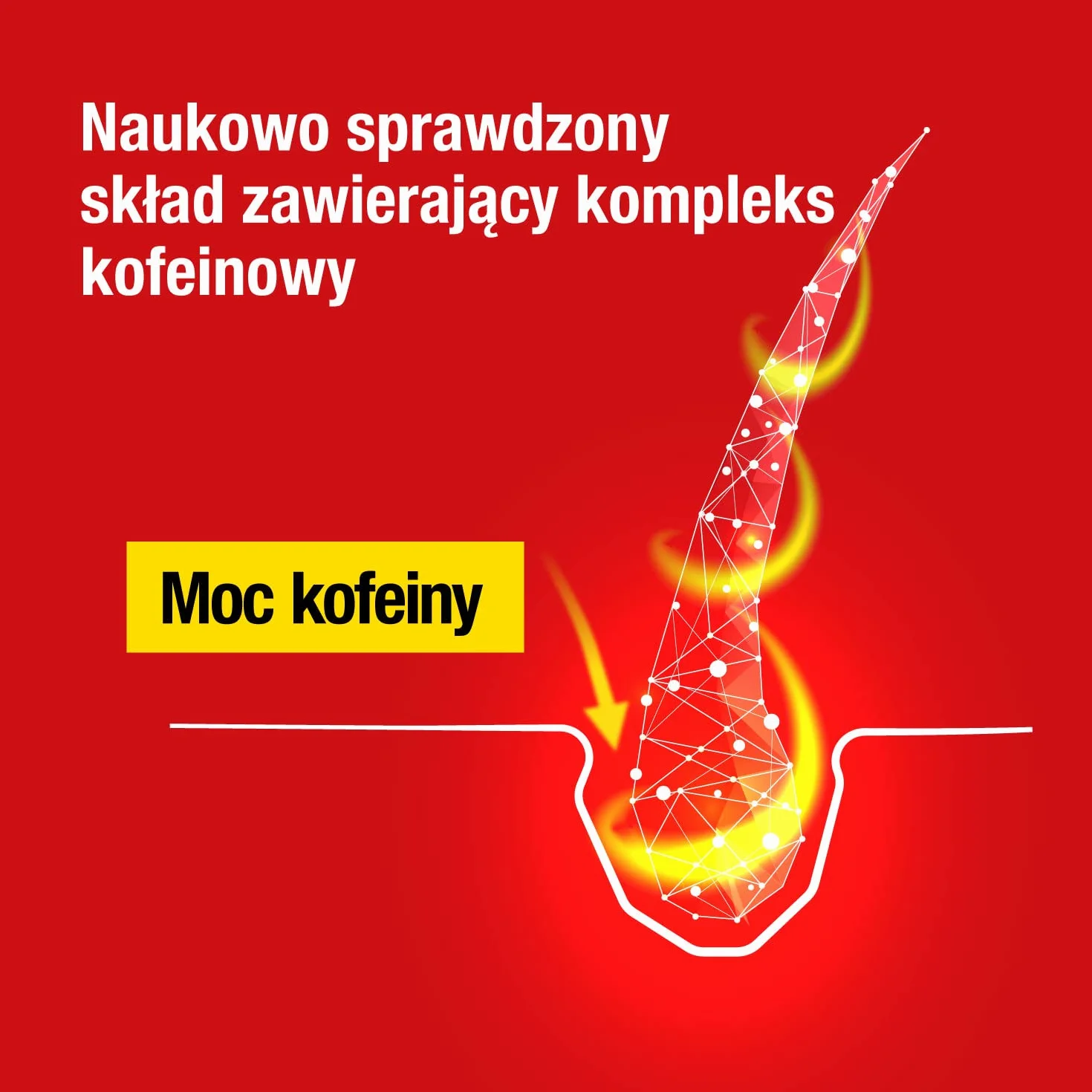 Alpecin Płyn kofeinowy Caffeine Liquid 2x200ml przeciwdziałający dziedzicznemu wypadaniu włosów