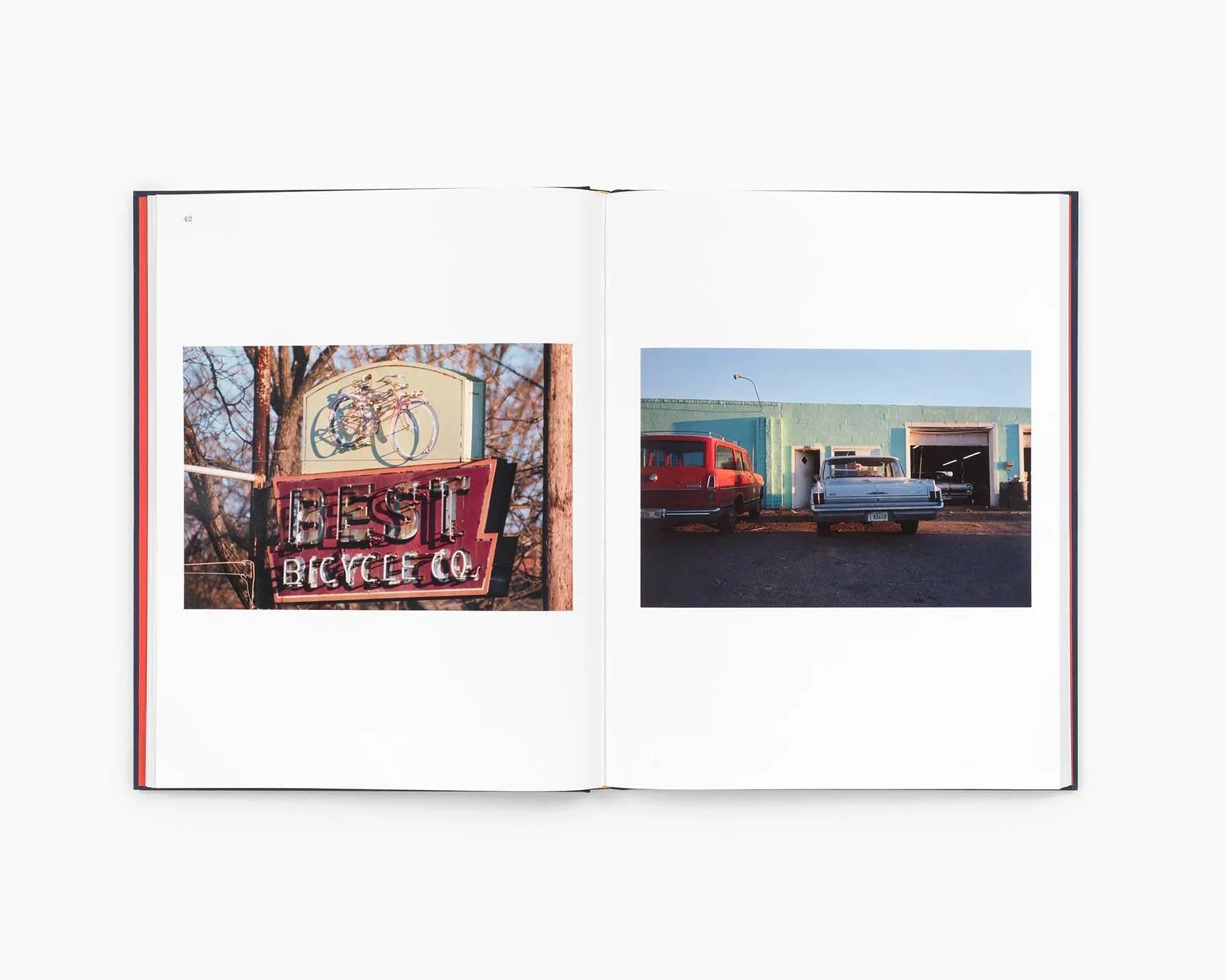 William Eggleston The Last Dyes /anglais