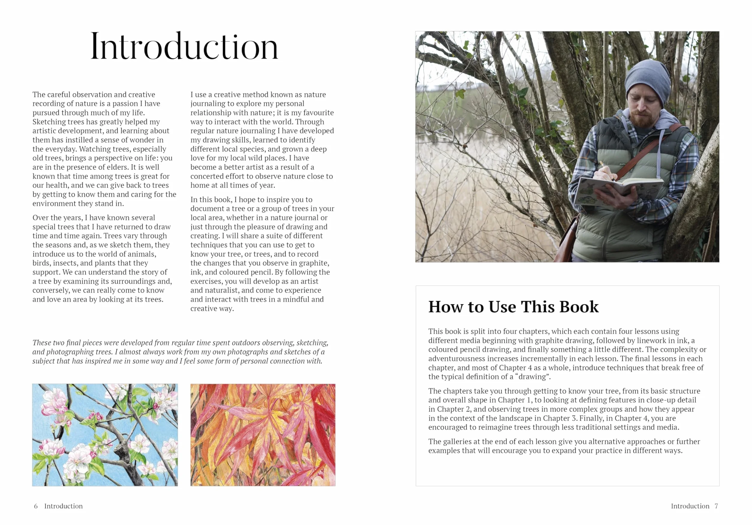 How to Draw a Tree: From the Fruit to the Forest: A Step-By-Step Course for the Nature Artist
