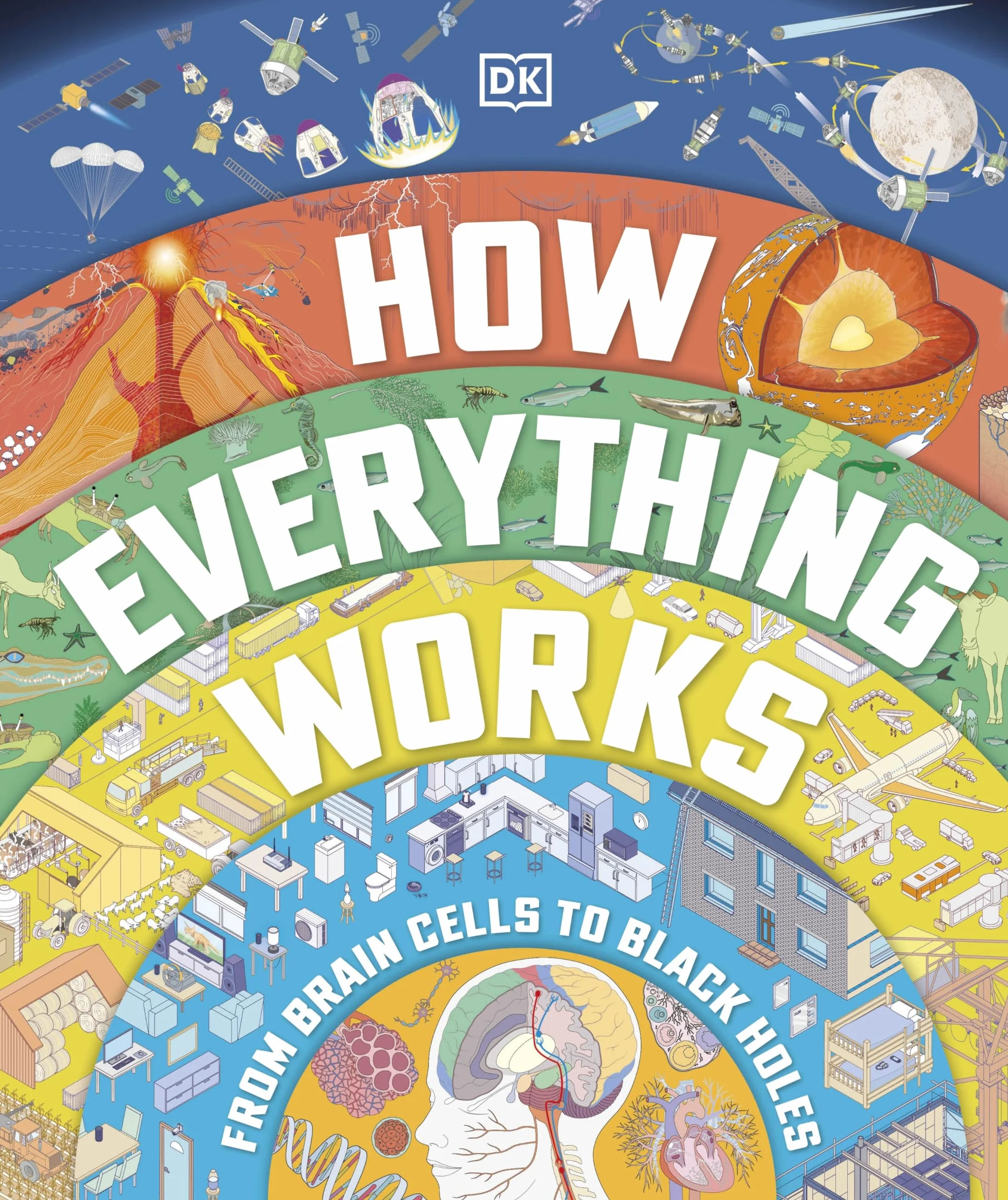How Everything Works: From Brain Cells to Black Holes