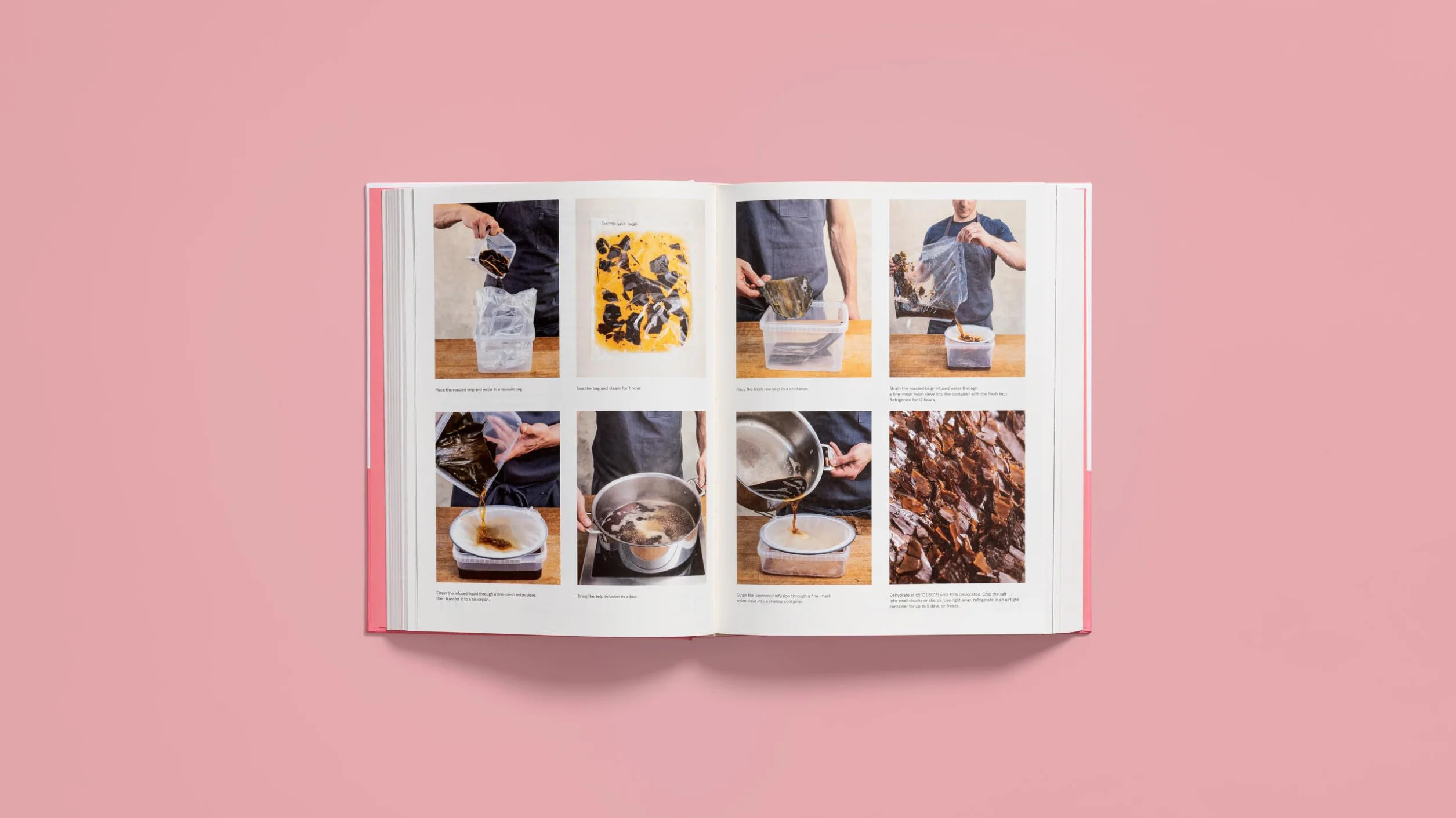 The Noma Guide to Building Flavour: Including recipes and techniques for sauces, butters, broths, reductions, preserves, vinaigrettes, flavoured salts, and infused oils