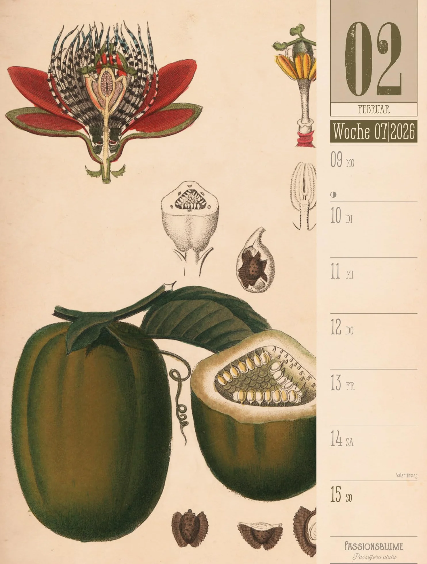 Culinarium Wochenplaner Kalender 2026 | Küche, Kräuter, Kurioses: Informativer Küchen-Wochenkalender im Hochformat (25x33 cm) | Vintage & Retro