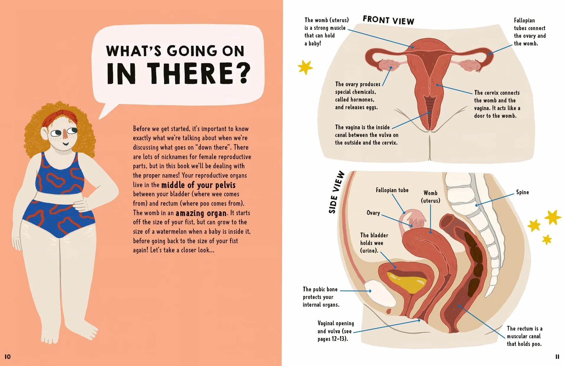 We Need to Talk About Vaginas: An IMPORTANT Book About Vulvas, Periods, Puberty, and Sex!
