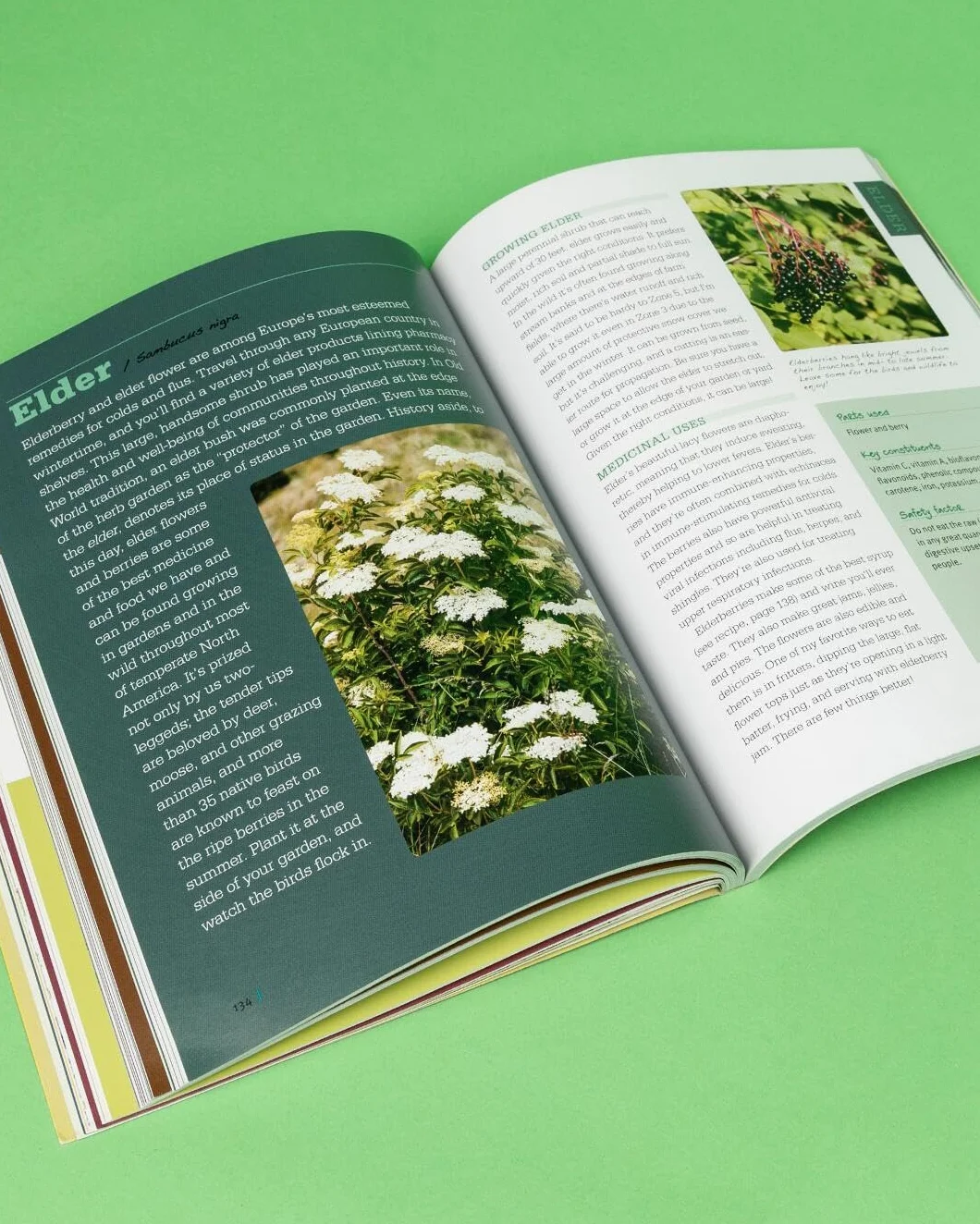 Rosemary Gladstar's Medicinal Herbs: A Beginner's Guide: 33 Healing Herbs to Know, Grow, and Use