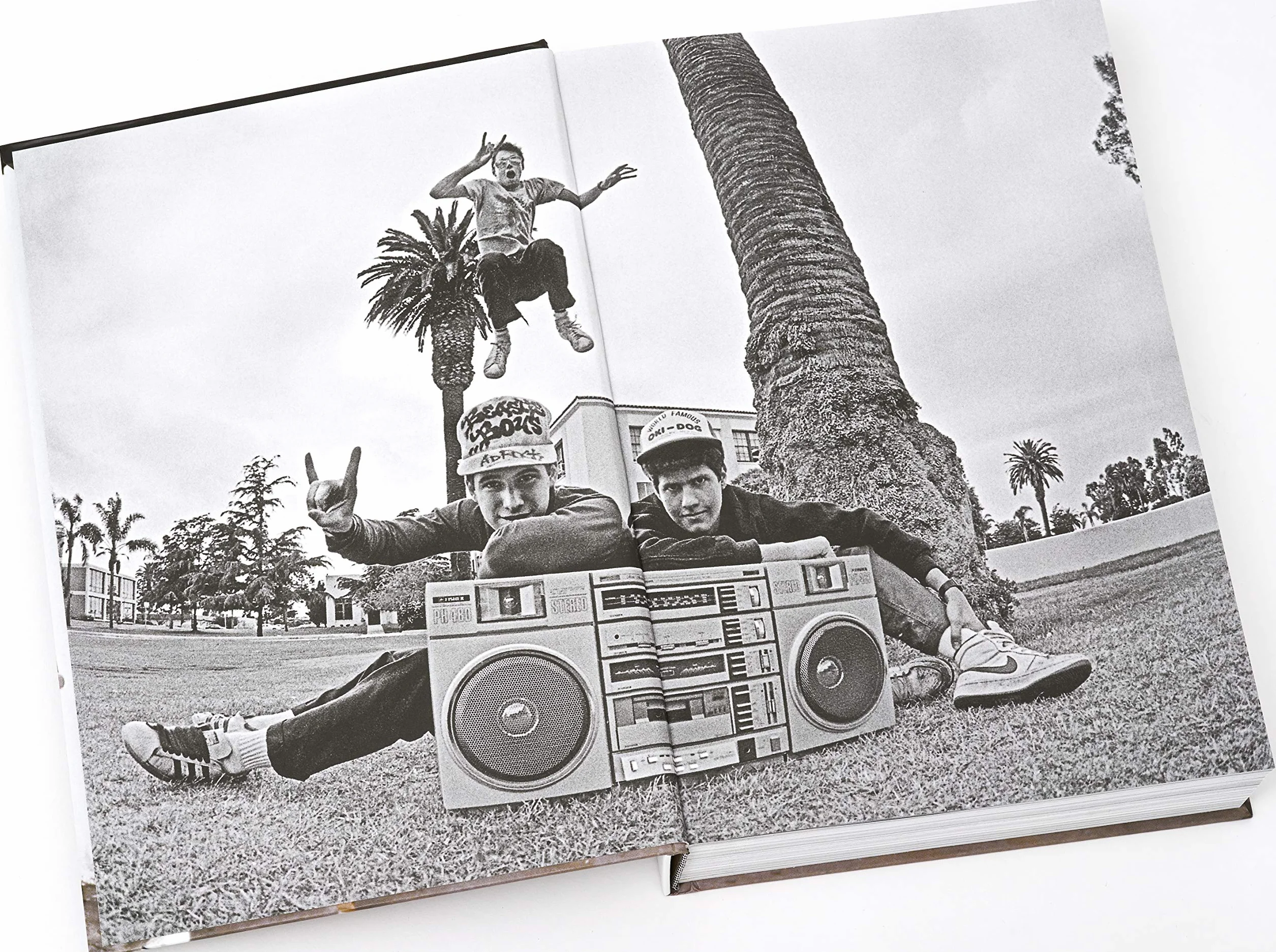 Beastie Boys Book