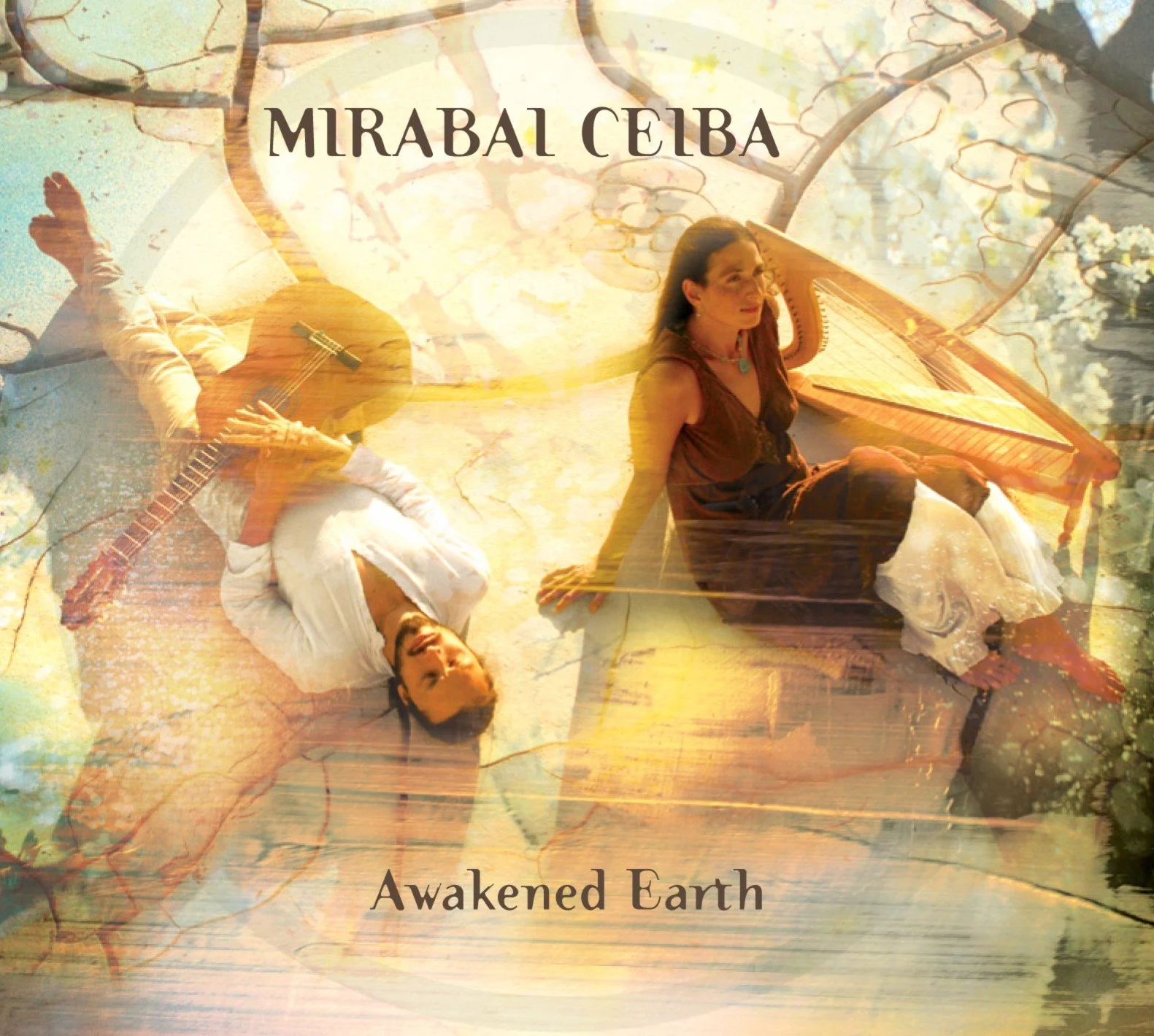 Awakened Earth