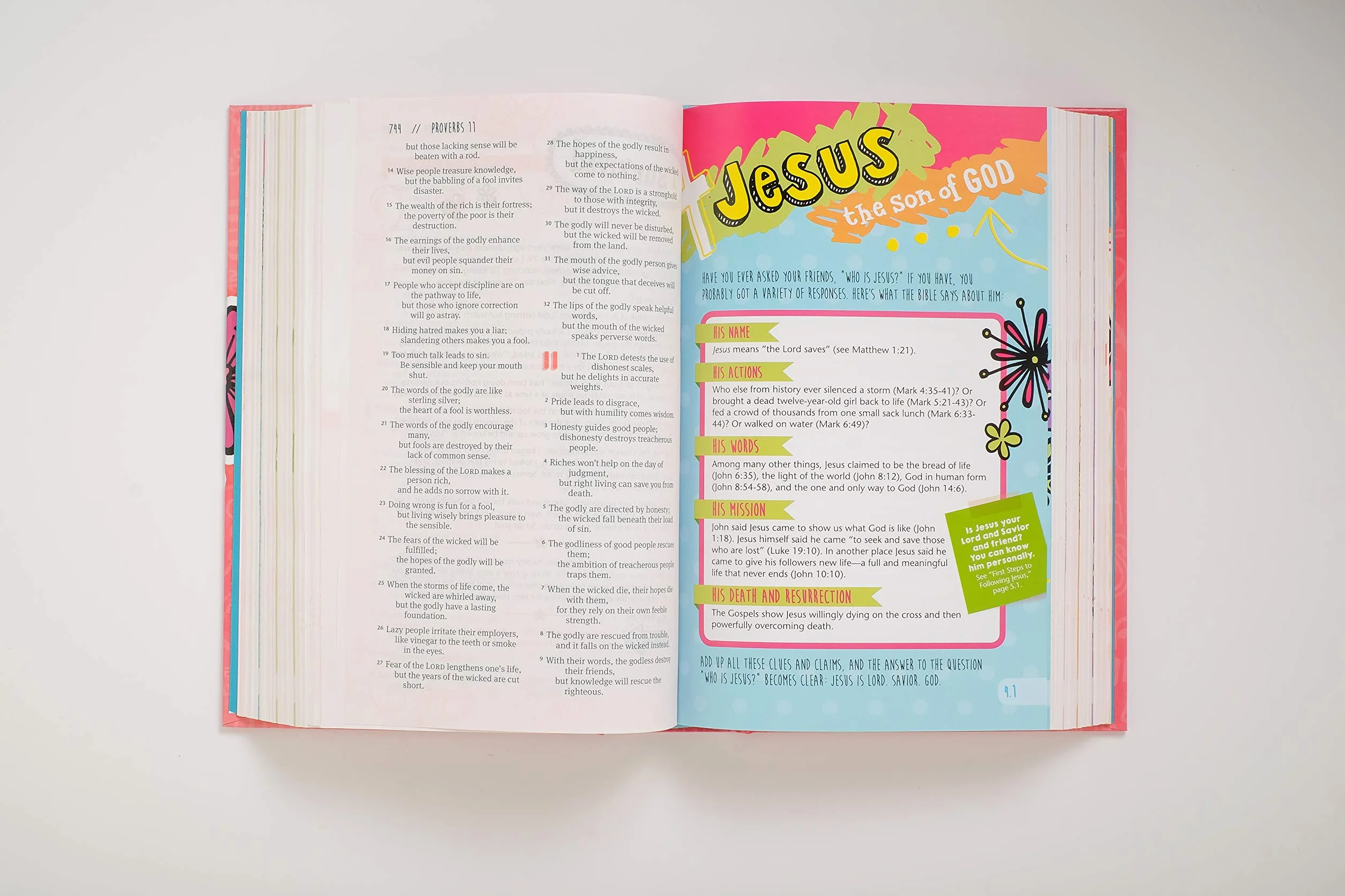 Girls Life Application Study Bible-NLT: New Living Translation