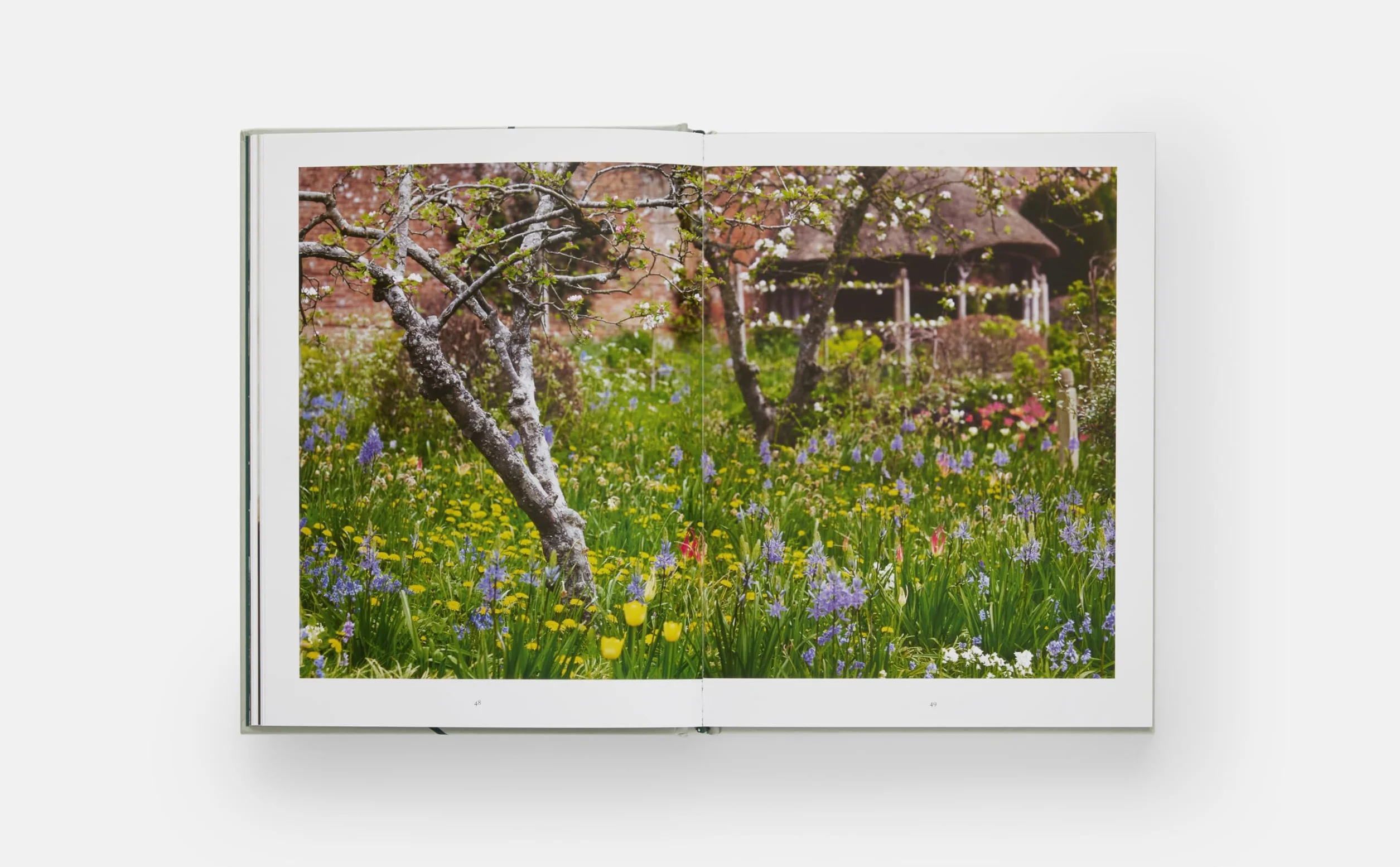 The Tulip Garden: Growing and Collecting Species, Rare and Annual Varieties