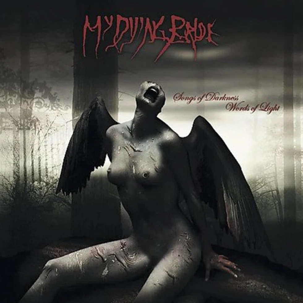 Songs Of Darkness, Words Of Light