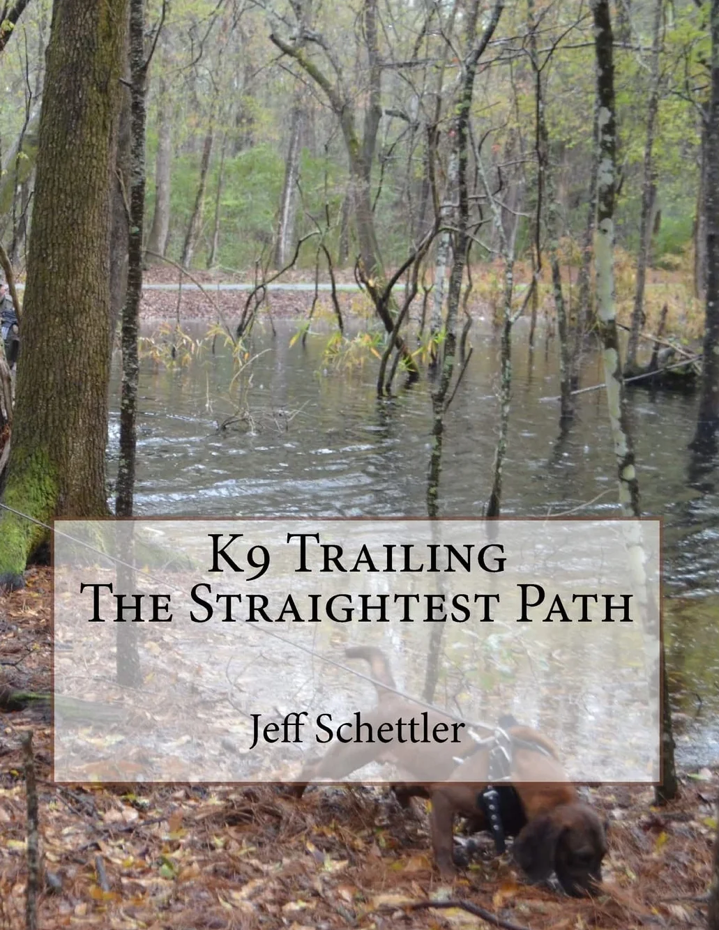 K9 Trailing The Straightest Path