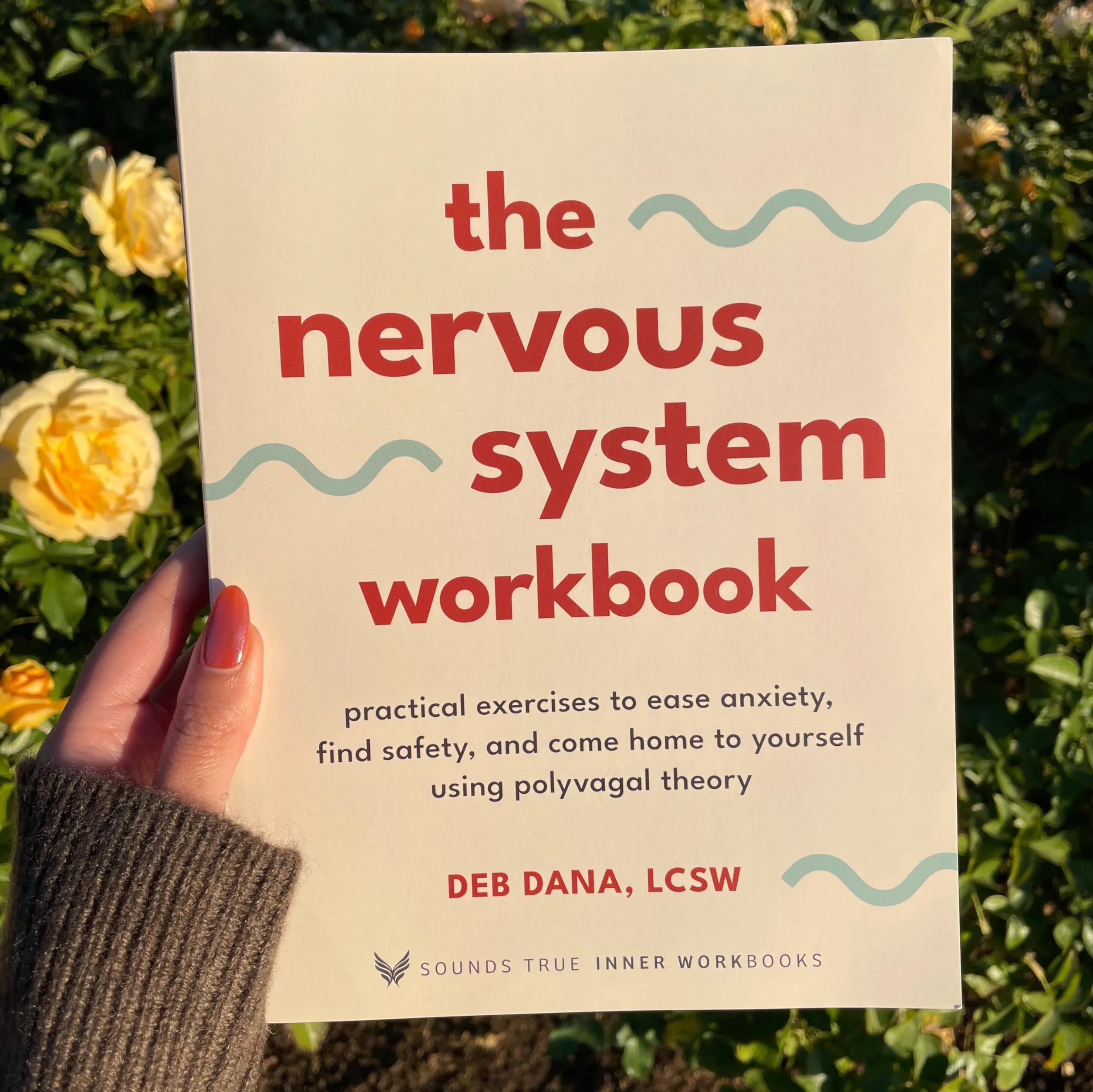 The Nervous System Workbook: Practical Exercises to Ease Anxiety, Find Safety, and Come Home to Yourself Using Polyvagal Theory