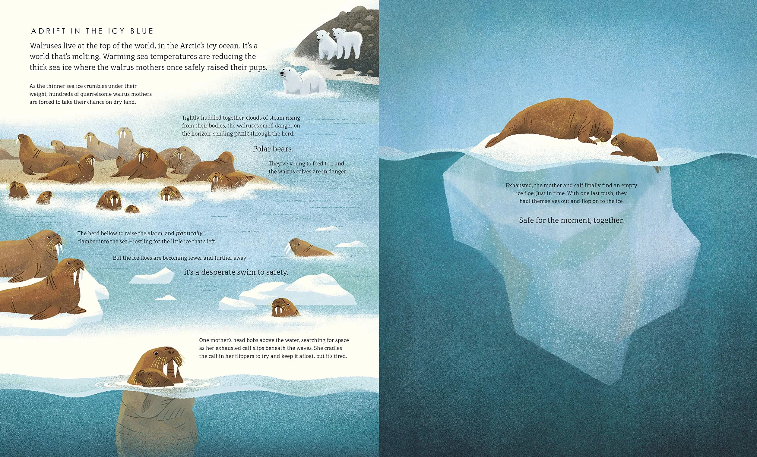Blue Planet II: For young wildlife-lovers inspired by David Attenborough's series