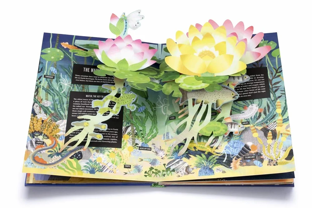 Pop-Up Earth: 1