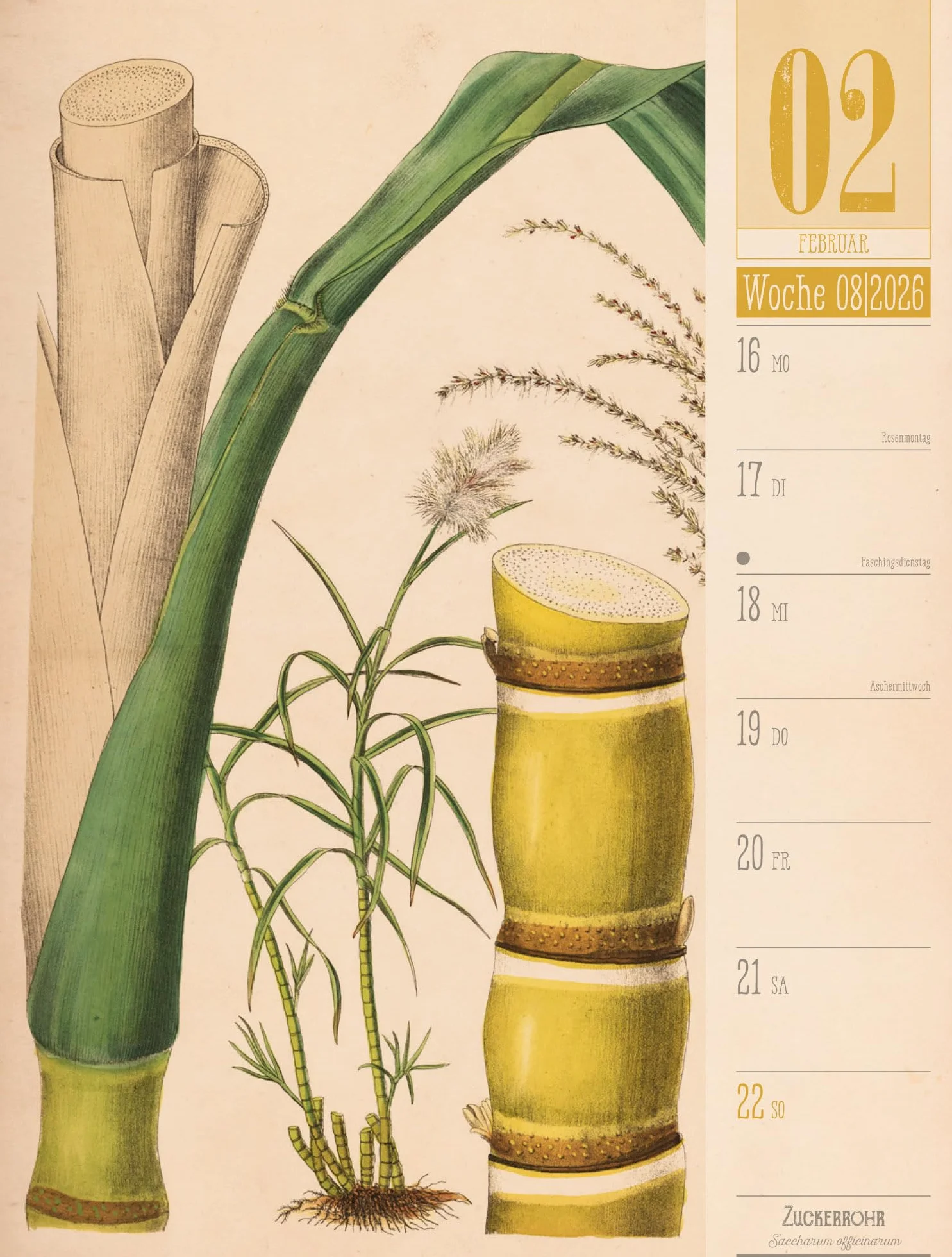 Culinarium Wochenplaner Kalender 2026 | Küche, Kräuter, Kurioses: Informativer Küchen-Wochenkalender im Hochformat (25x33 cm) | Vintage & Retro