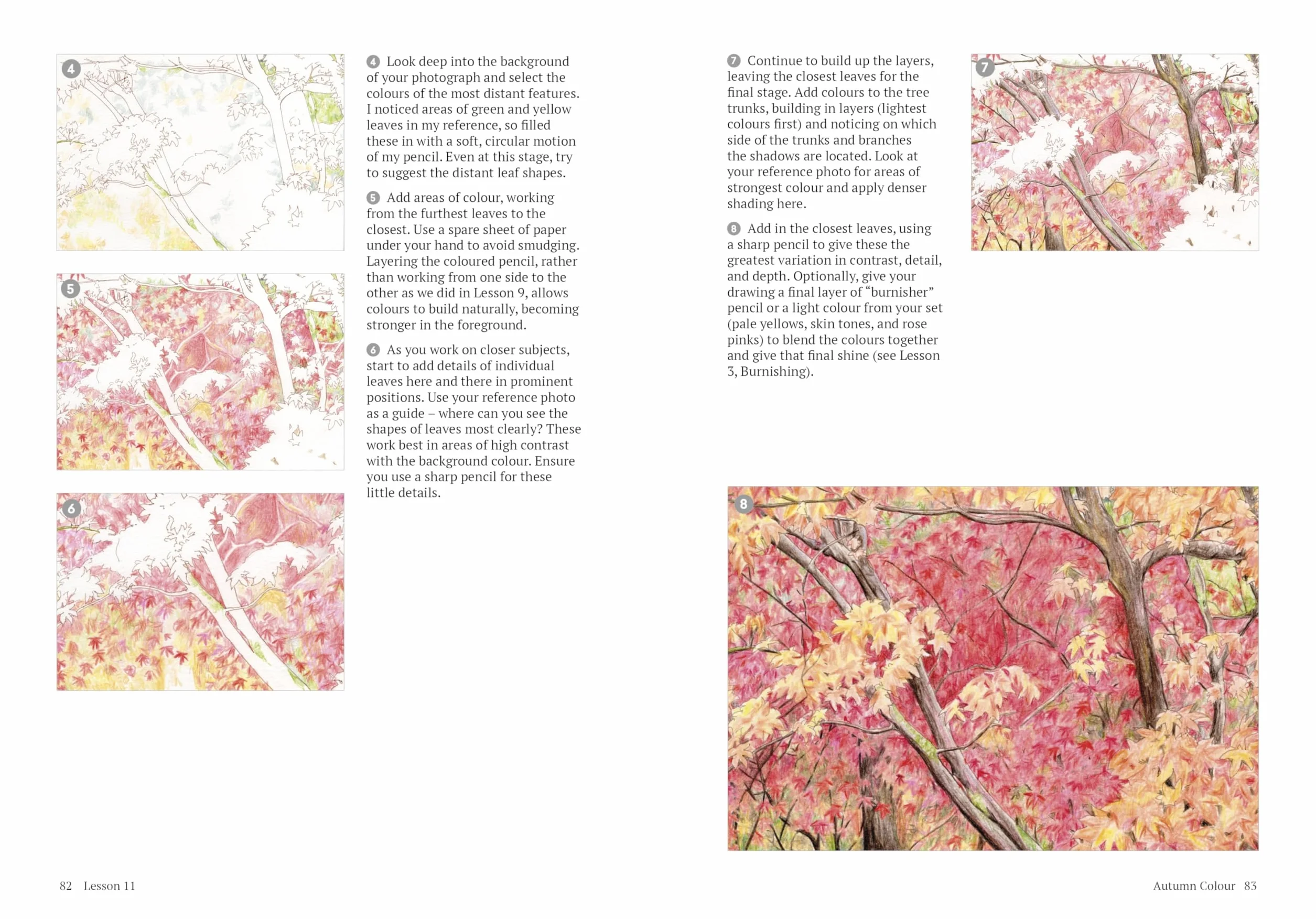 How to Draw a Tree: From the Fruit to the Forest: A Step-By-Step Course for the Nature Artist