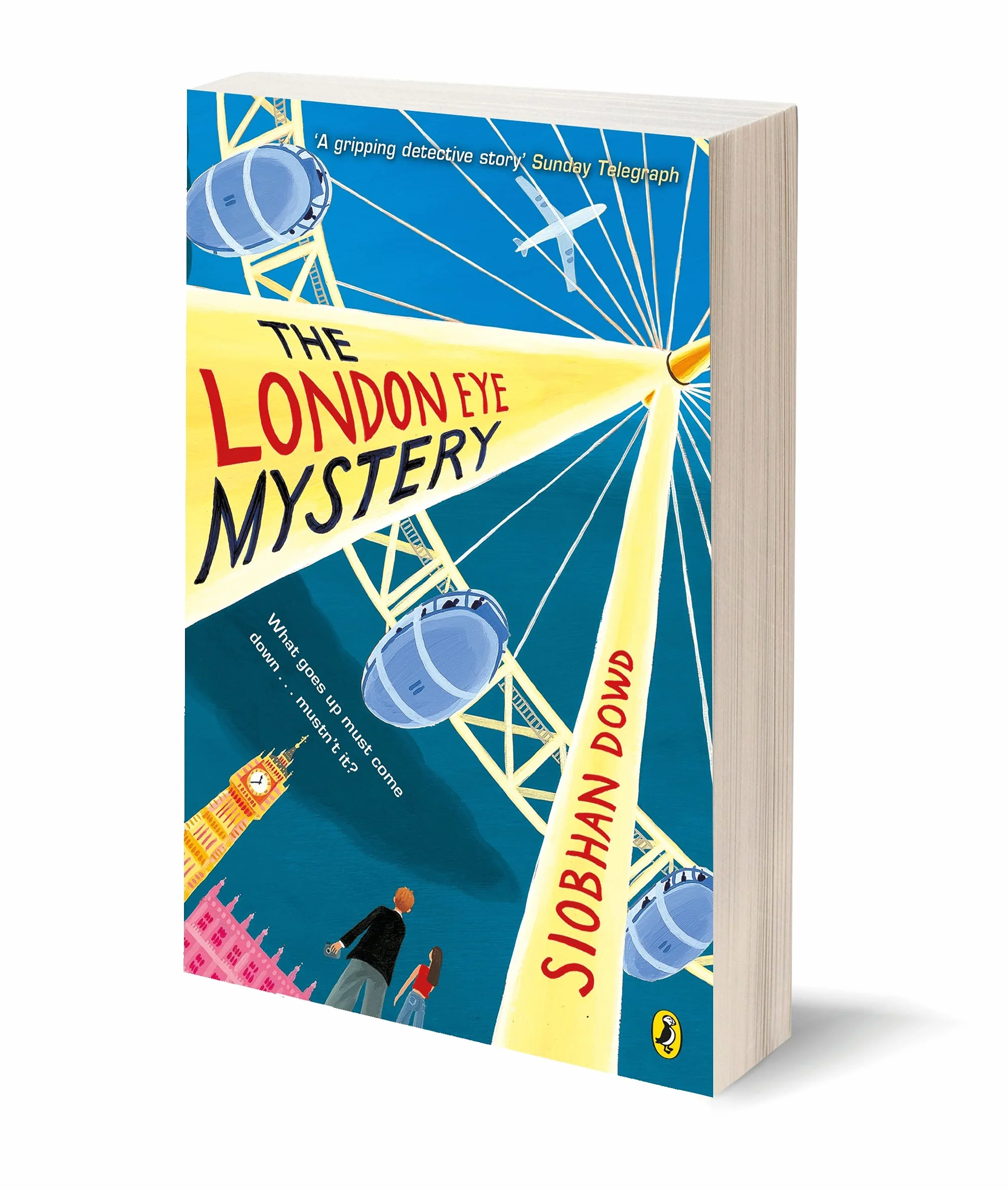 The London Eye Mystery: Siobhan Dowd