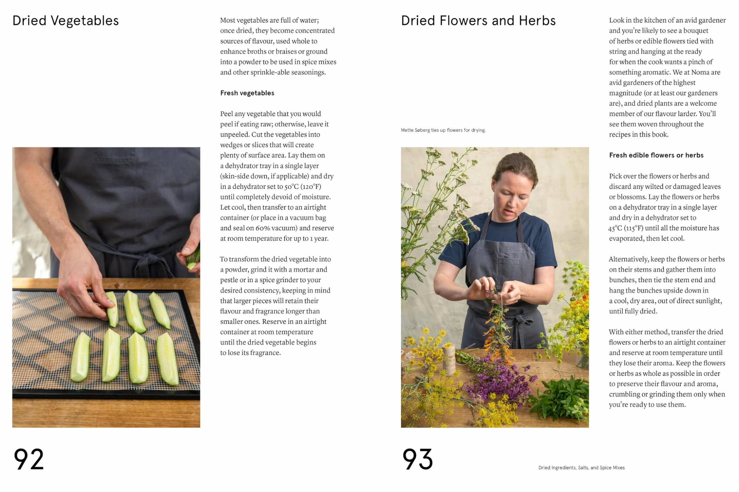 The Noma Guide to Building Flavour: Including recipes and techniques for sauces, butters, broths, reductions, preserves, vinaigrettes, flavoured salts, and infused oils