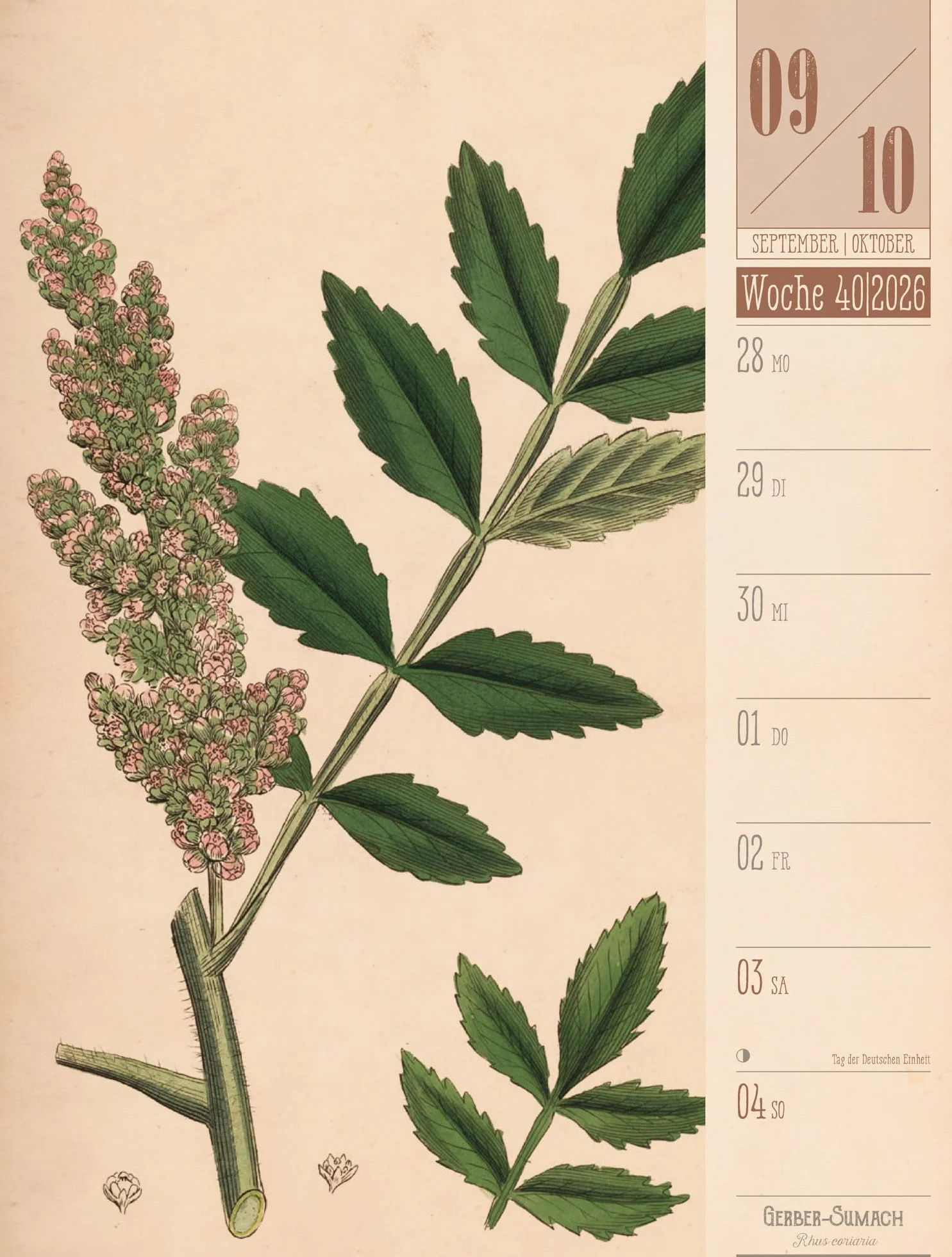 Culinarium Wochenplaner Kalender 2026 | Küche, Kräuter, Kurioses: Informativer Küchen-Wochenkalender im Hochformat (25x33 cm) | Vintage & Retro