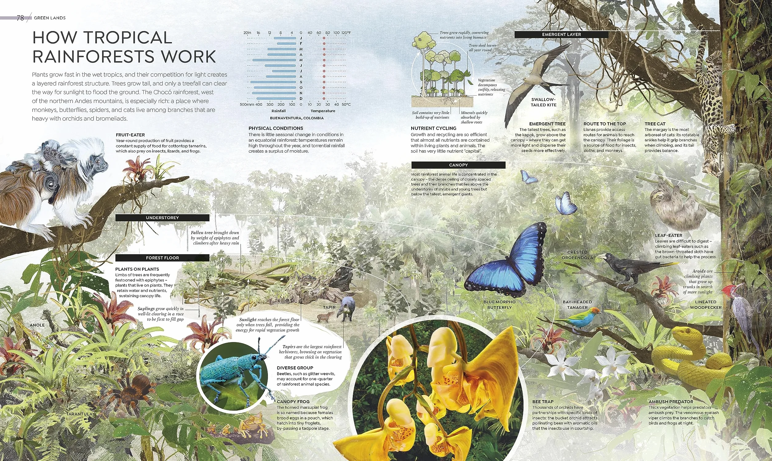 Habitats: Discover Earth's Precious Wild Places