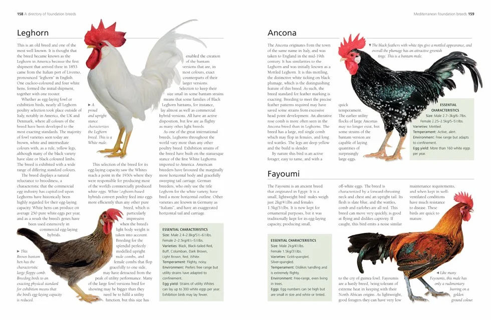 A Complete Practical Guide to Keeping Chickens: A Directory of Chickens, Ducks, Geese and Turkeys, and How to Keep Them, with Mmre Than 700 Photographs