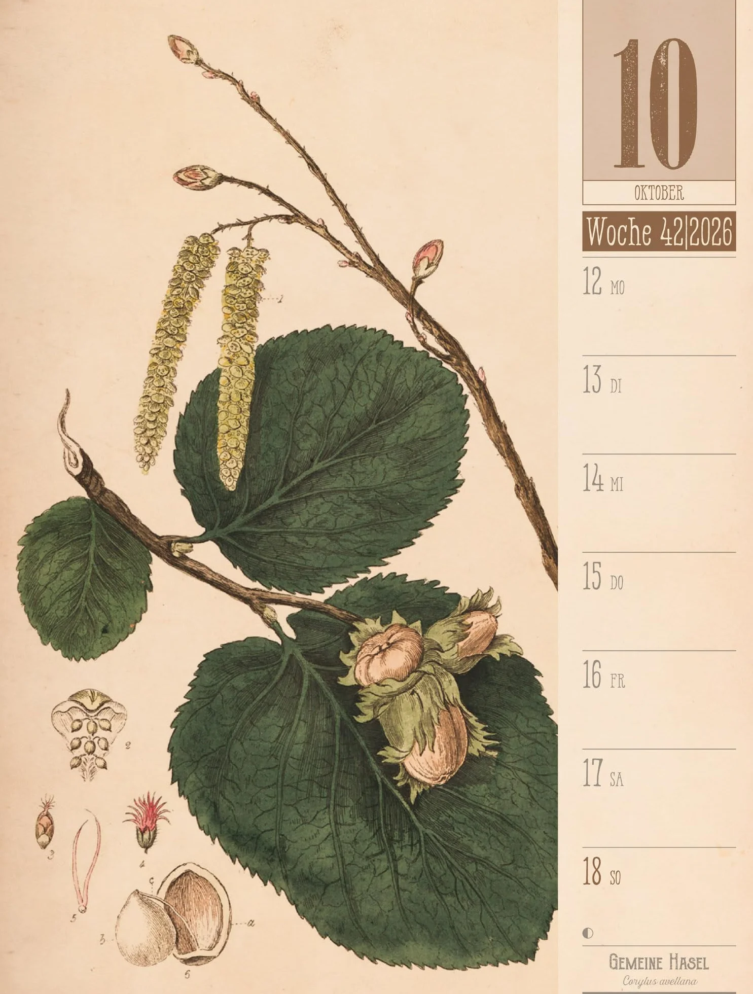 Culinarium Wochenplaner Kalender 2026 | Küche, Kräuter, Kurioses: Informativer Küchen-Wochenkalender im Hochformat (25x33 cm) | Vintage & Retro