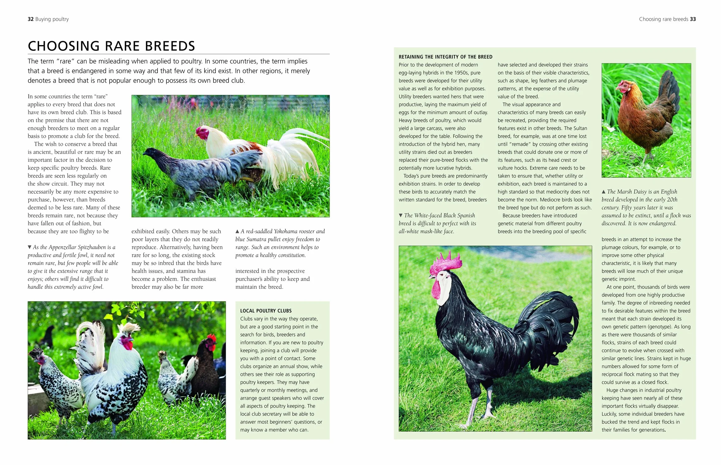 A Complete Practical Guide to Keeping Chickens: A Directory of Chickens, Ducks, Geese and Turkeys, and How to Keep Them, with Mmre Than 700 Photographs