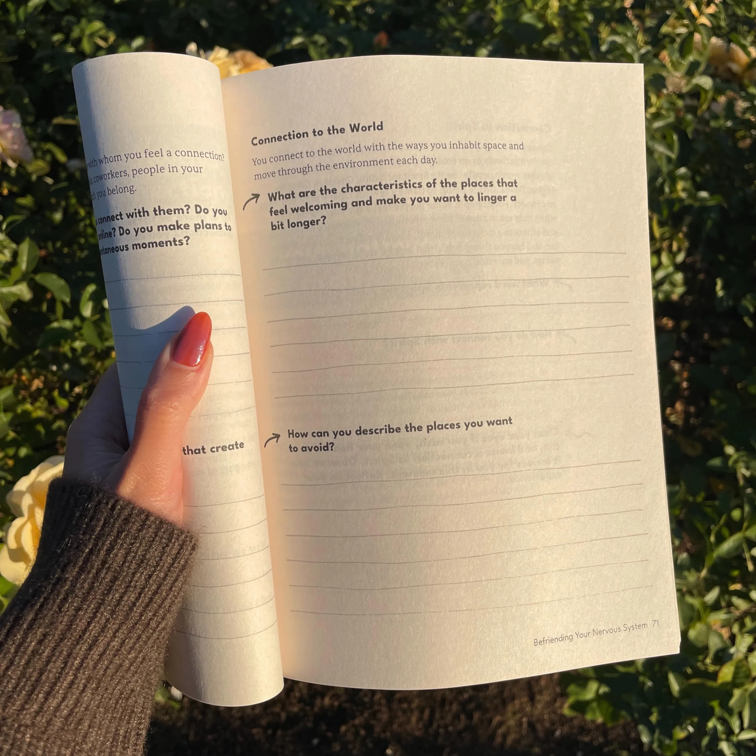 The Nervous System Workbook: Practical Exercises to Ease Anxiety, Find Safety, and Come Home to Yourself Using Polyvagal Theory