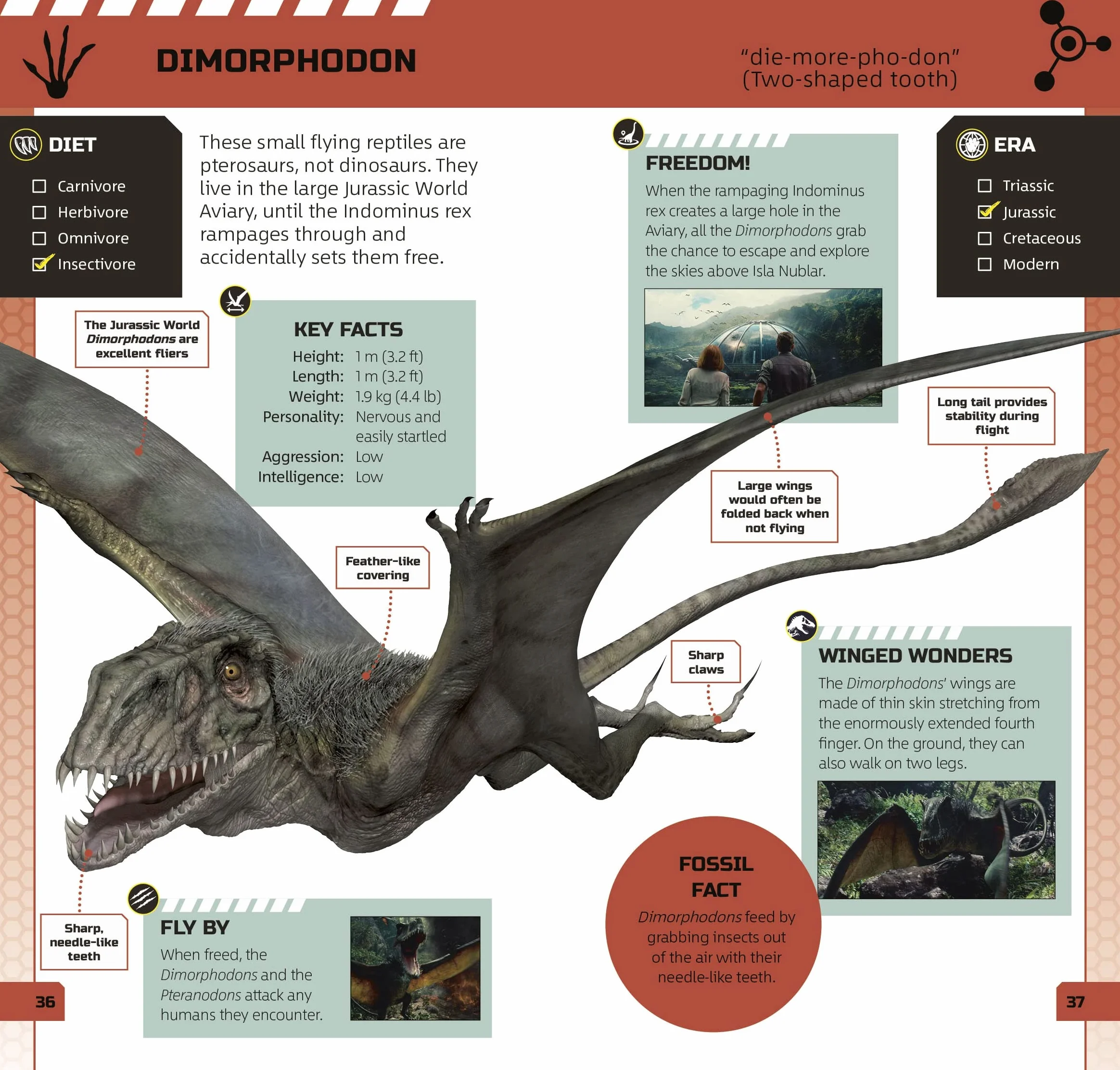Jurassic World Pocket Expert: All the Facts You Need to Know