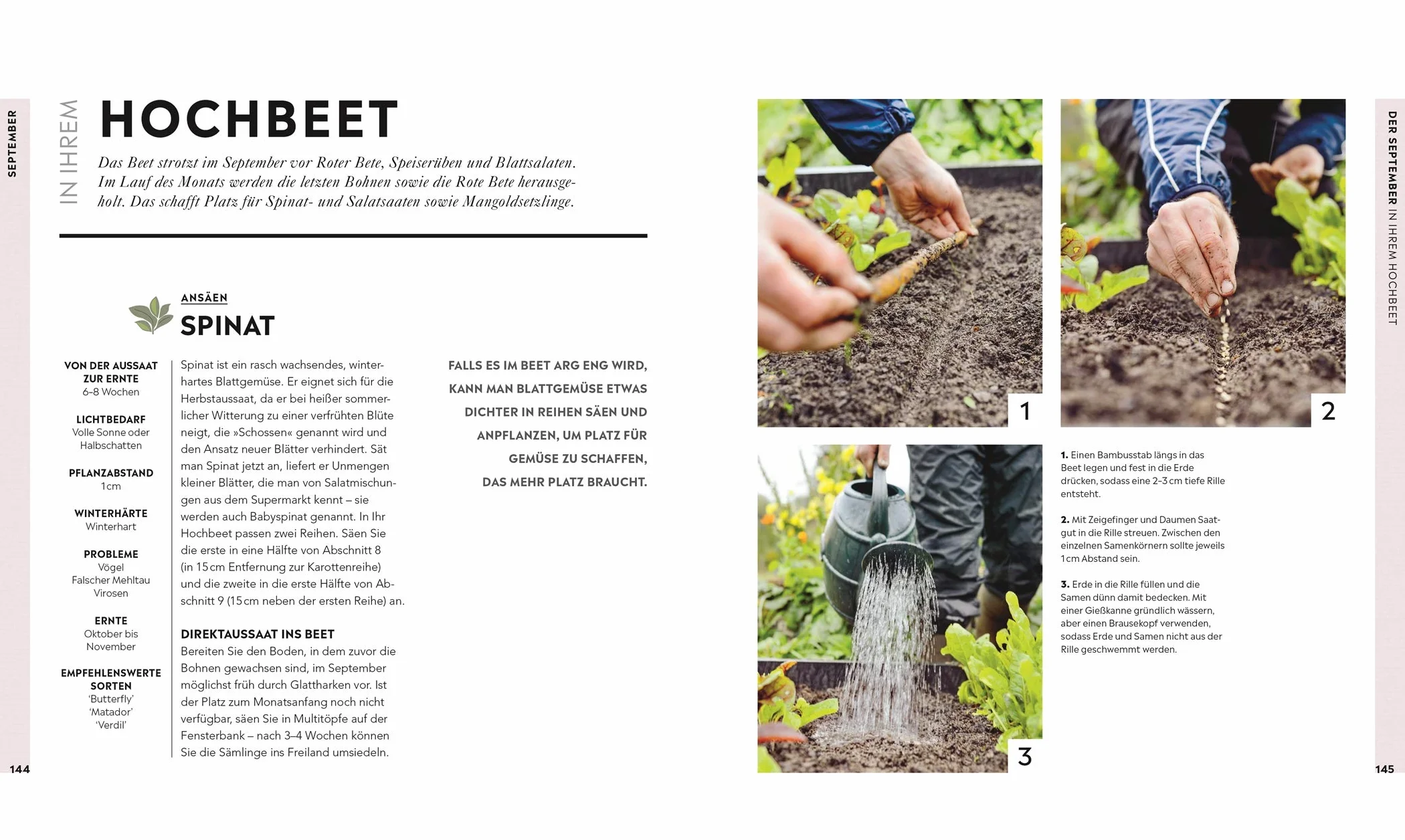 Hochbeet: Frisches Gemüse das ganze Jahr