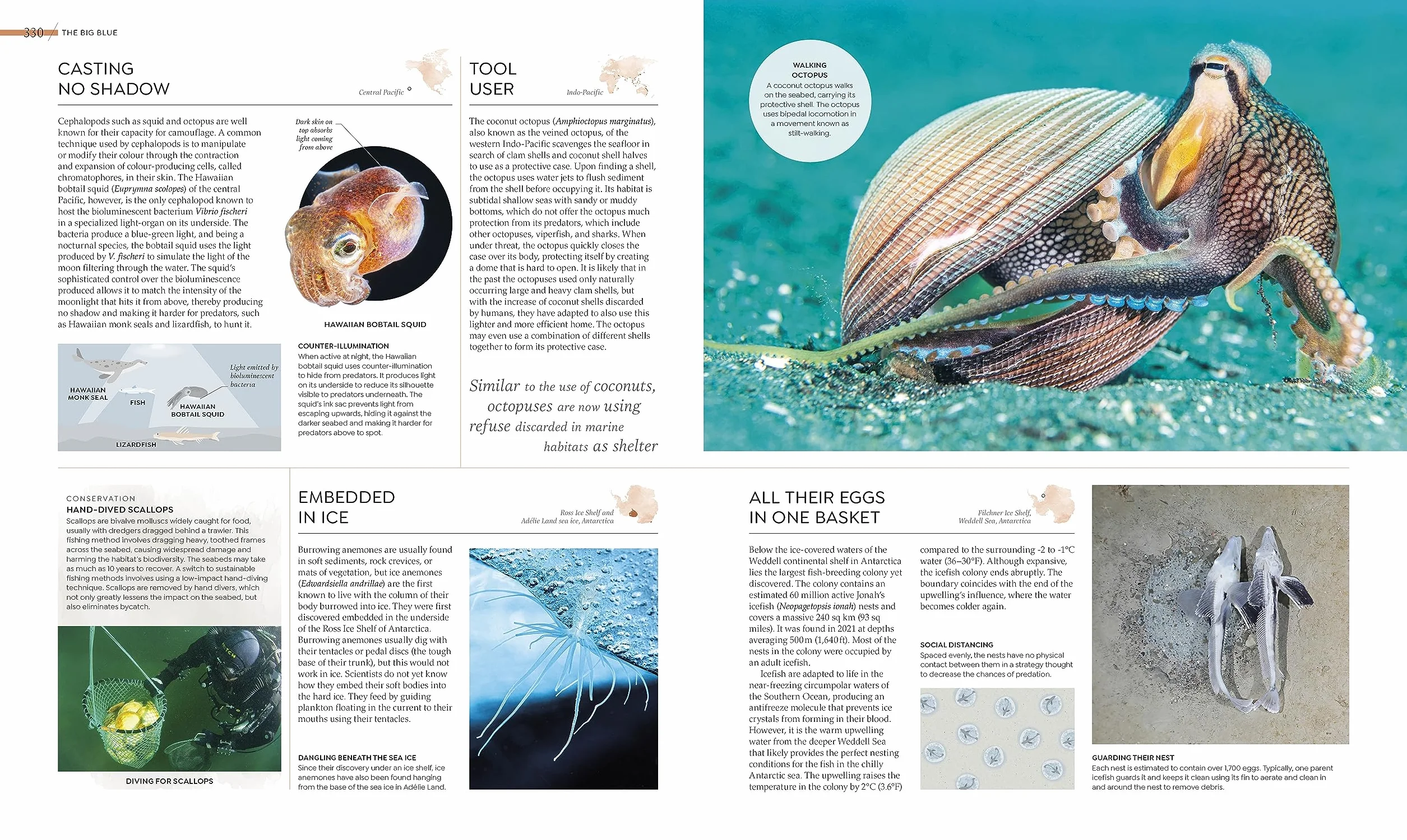 Habitats: Discover Earth's Precious Wild Places