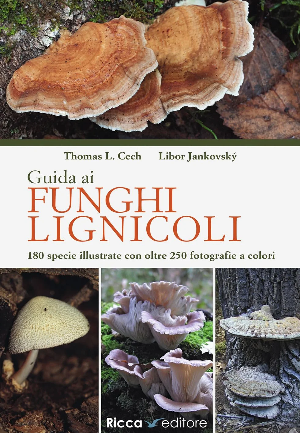 Guida ai funghi lignicoli