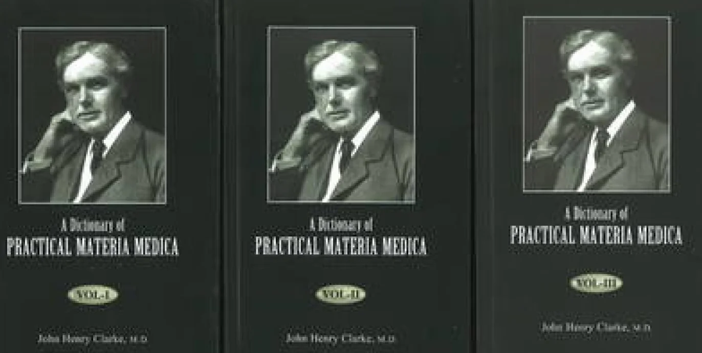 Dictionary of Practical Materia Medica: Set Large Print