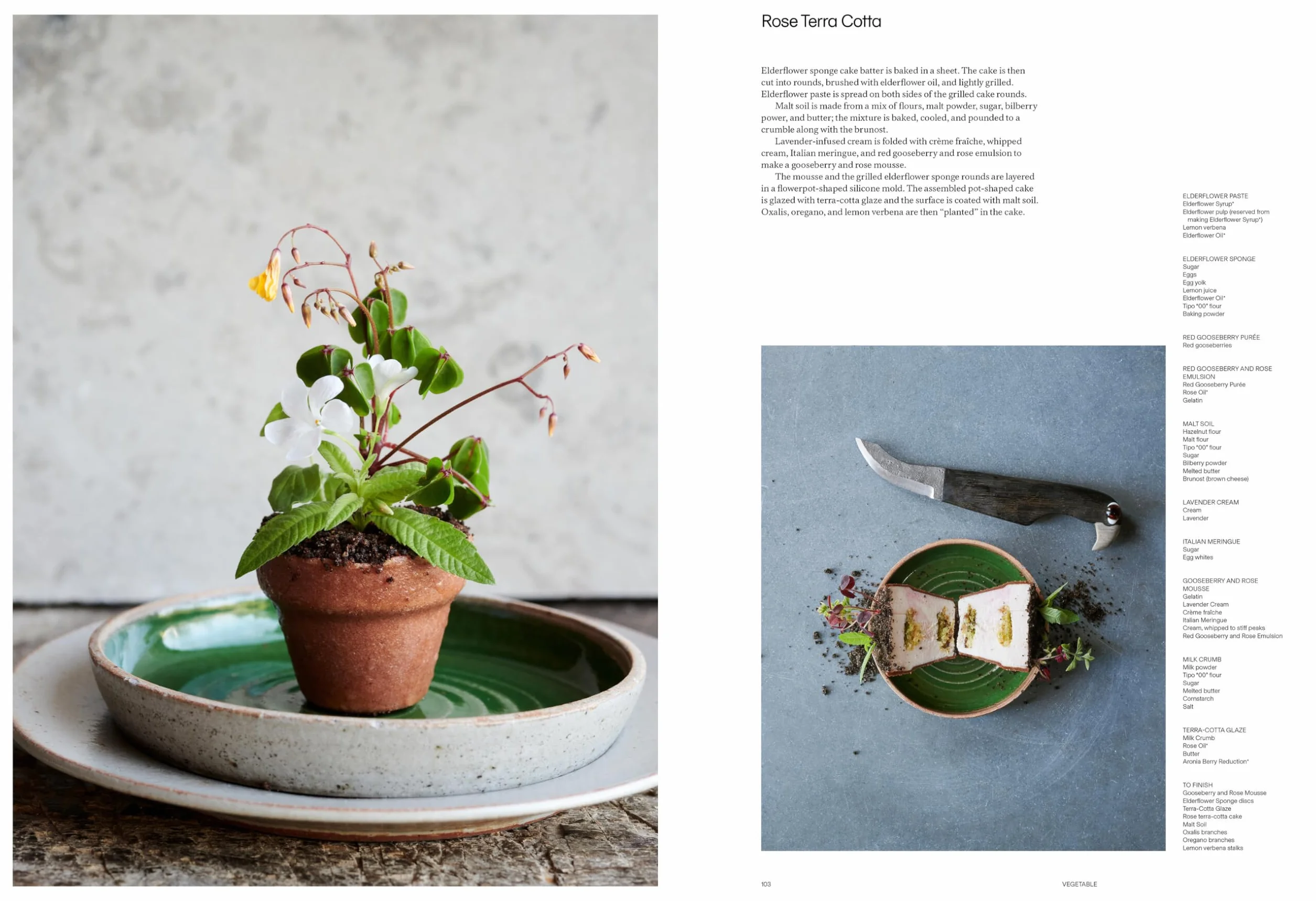Noma 2.0 /anglais: Vegetable, Forest, Ocean