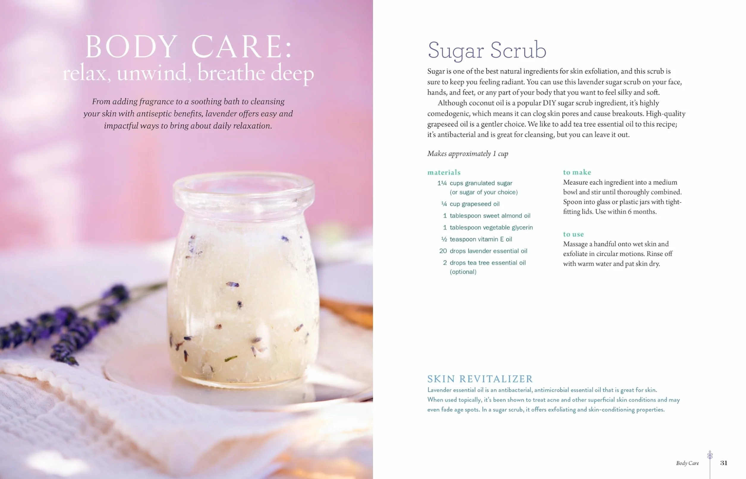 The Lavender Companion: Enjoy the Aroma, Flavor, and Health Benefits of This Classic Herb