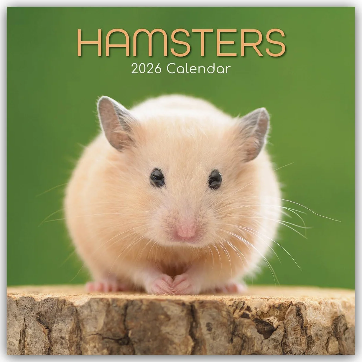 Hamsters – Hamster 2026 – 16-Monatskalender: Original Gifted Stationery-Kalender [Mehrsprachig] [Kalender]